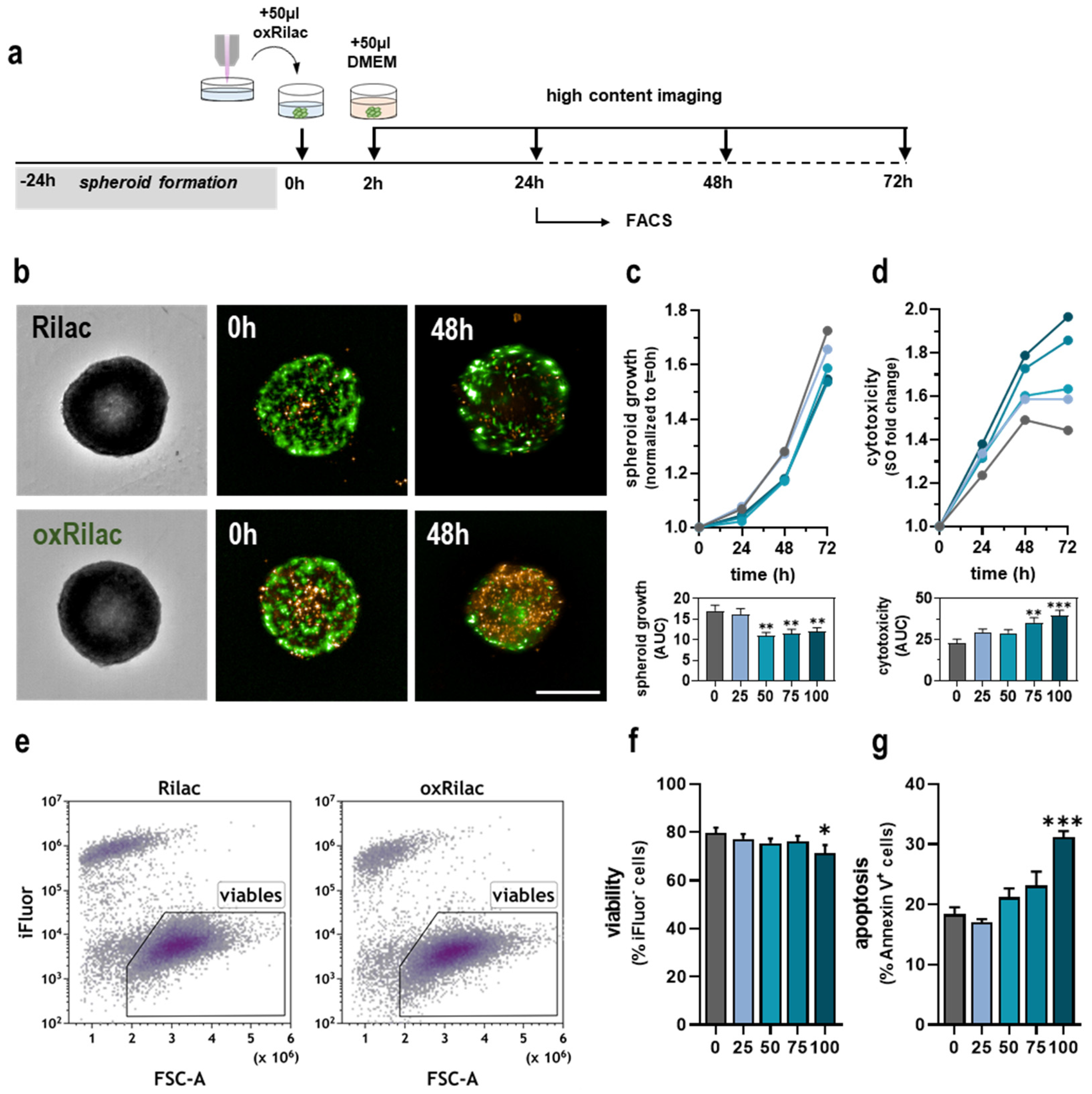 Cancers 15 00319 g002