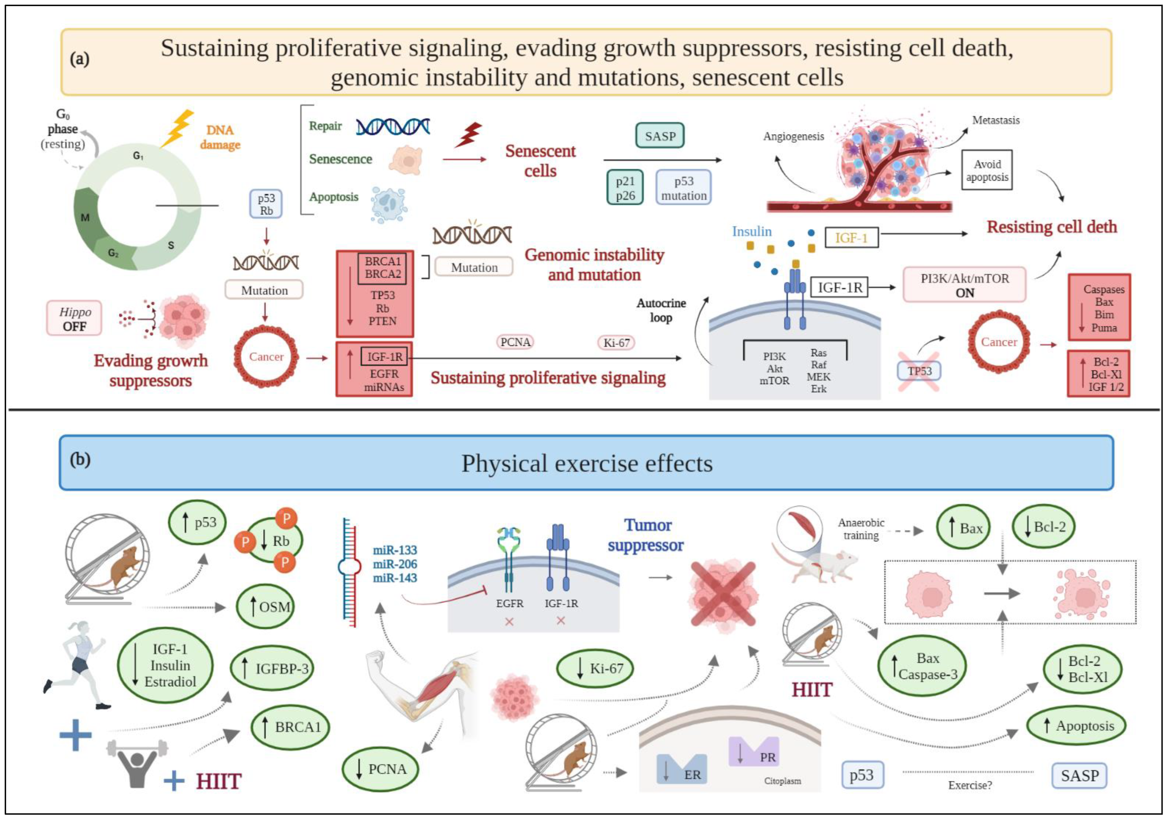 Cancers 15 00324 g001 550