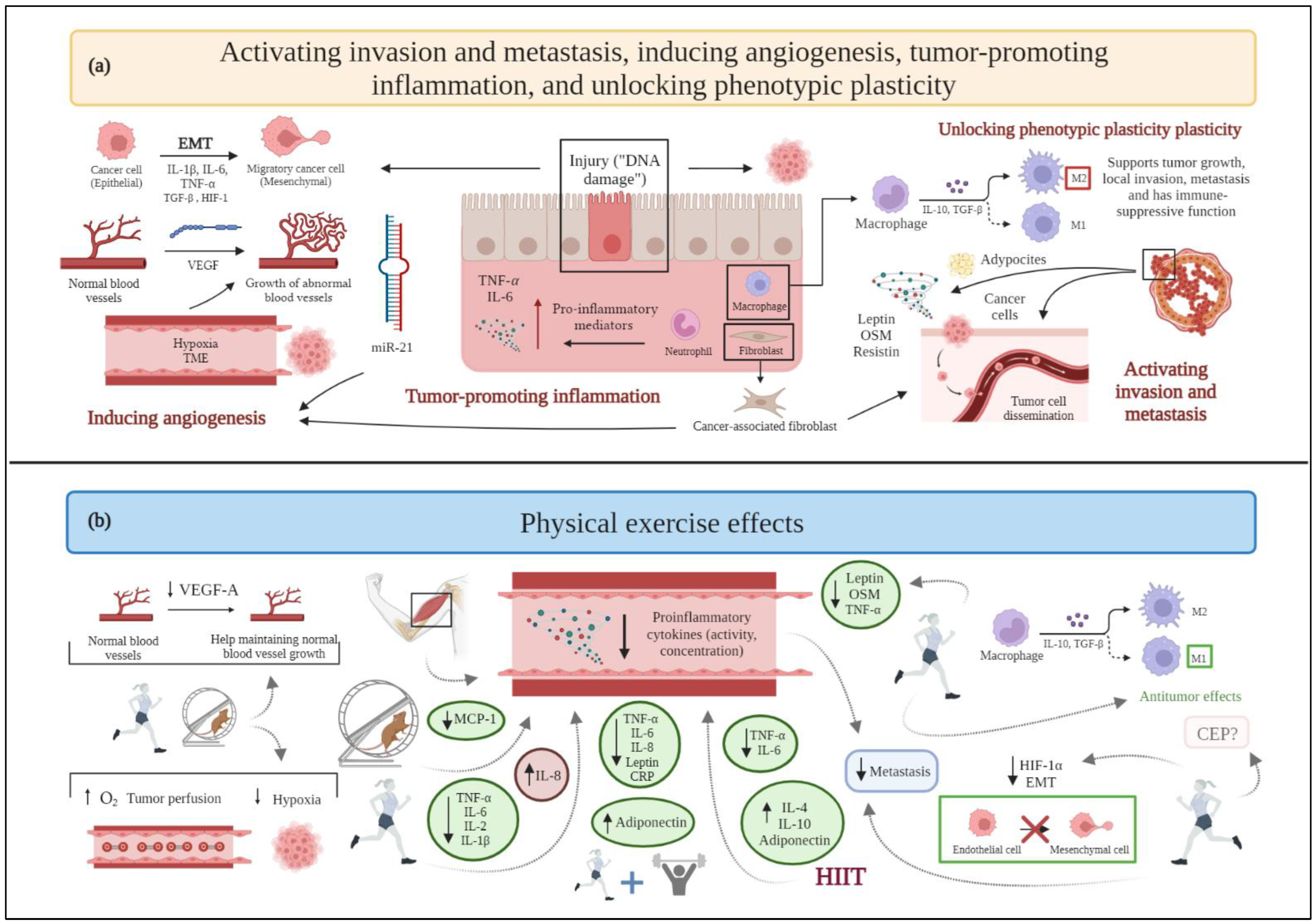 Cancers 15 00324 g002 550