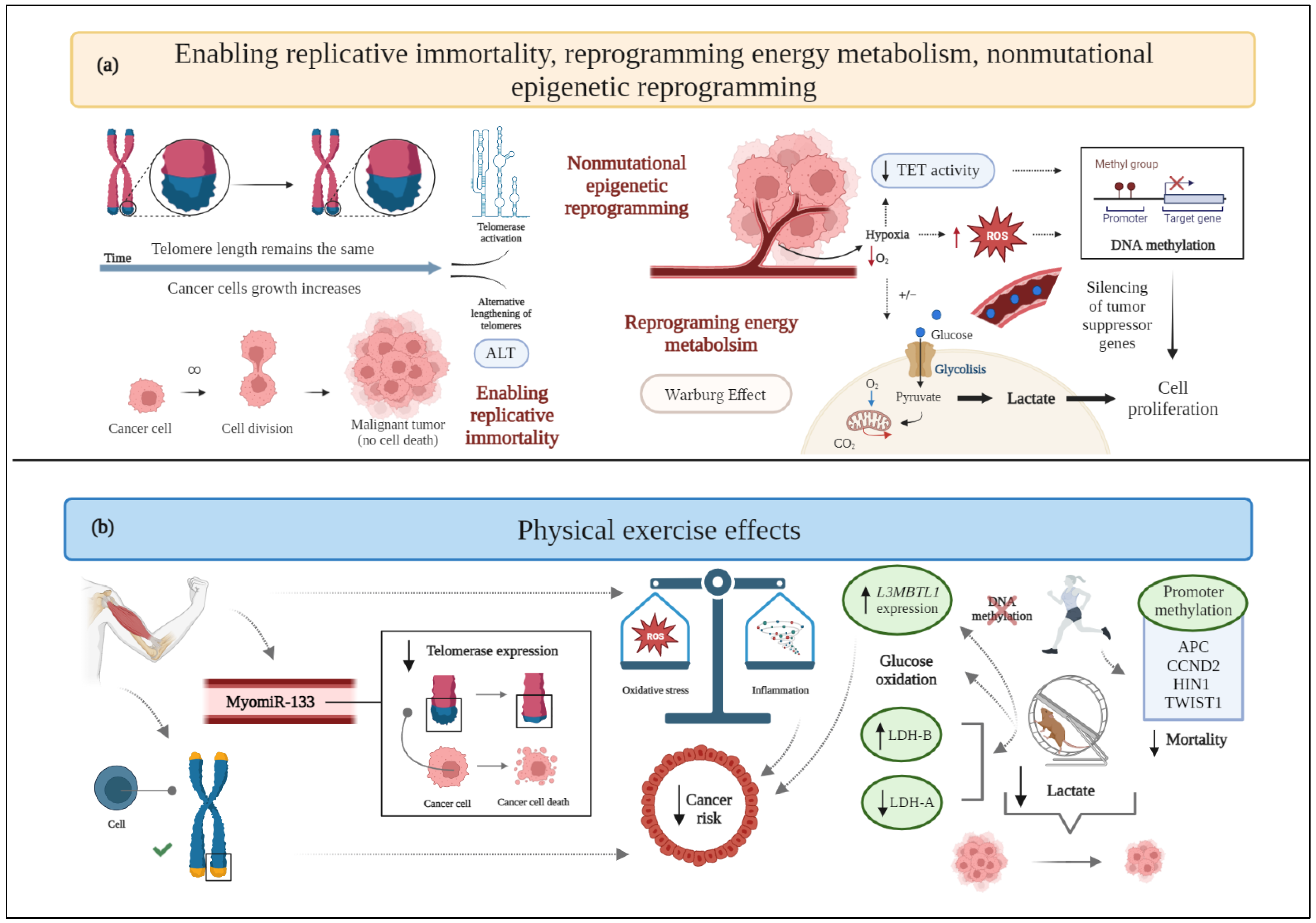 Cancers 15 00324 g003 550