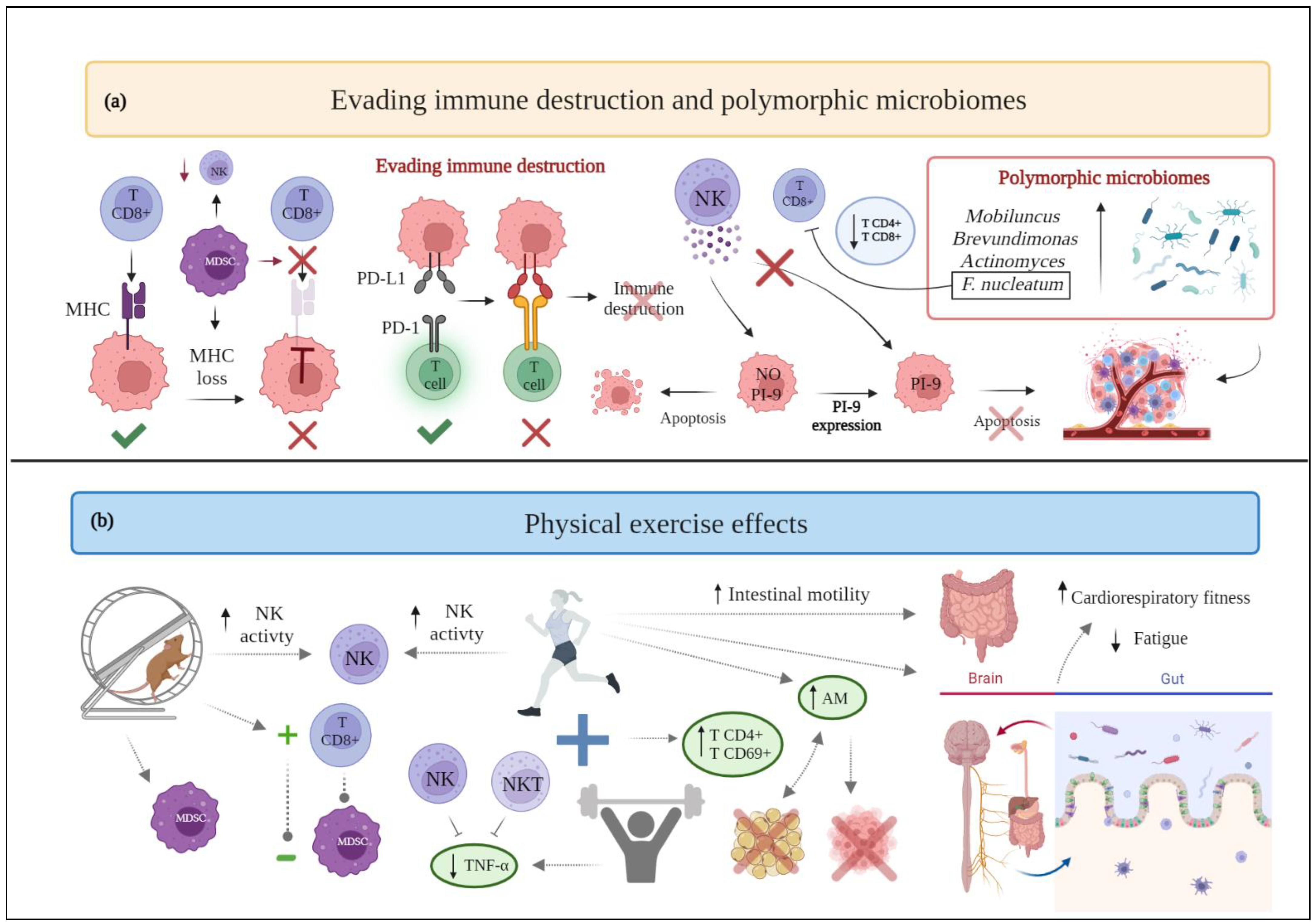 Cancers 15 00324 g004 550
