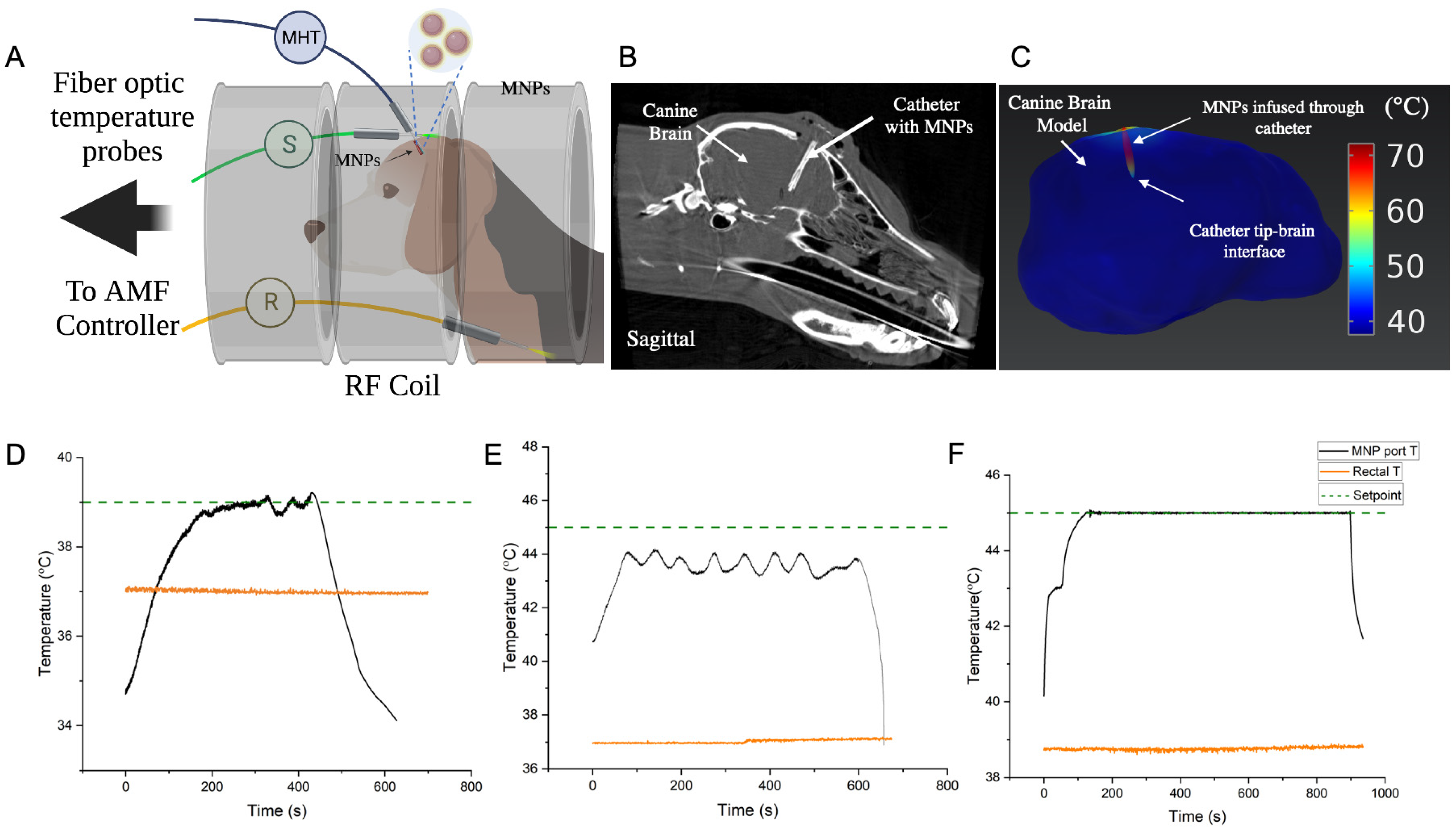 Cancers 15 00327 g004 Cancers 15 00327 g004