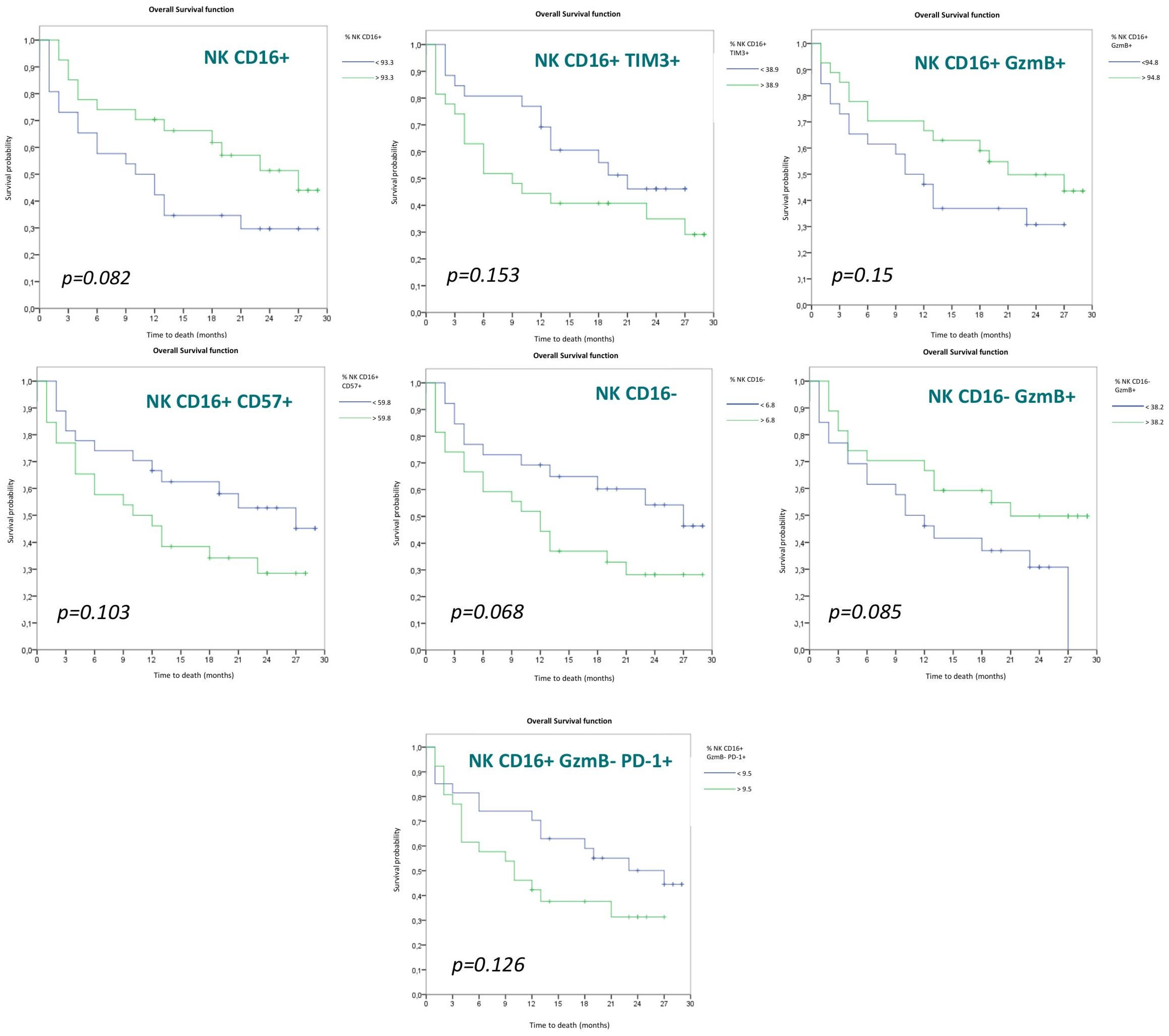 Cancers 15 00329 g005