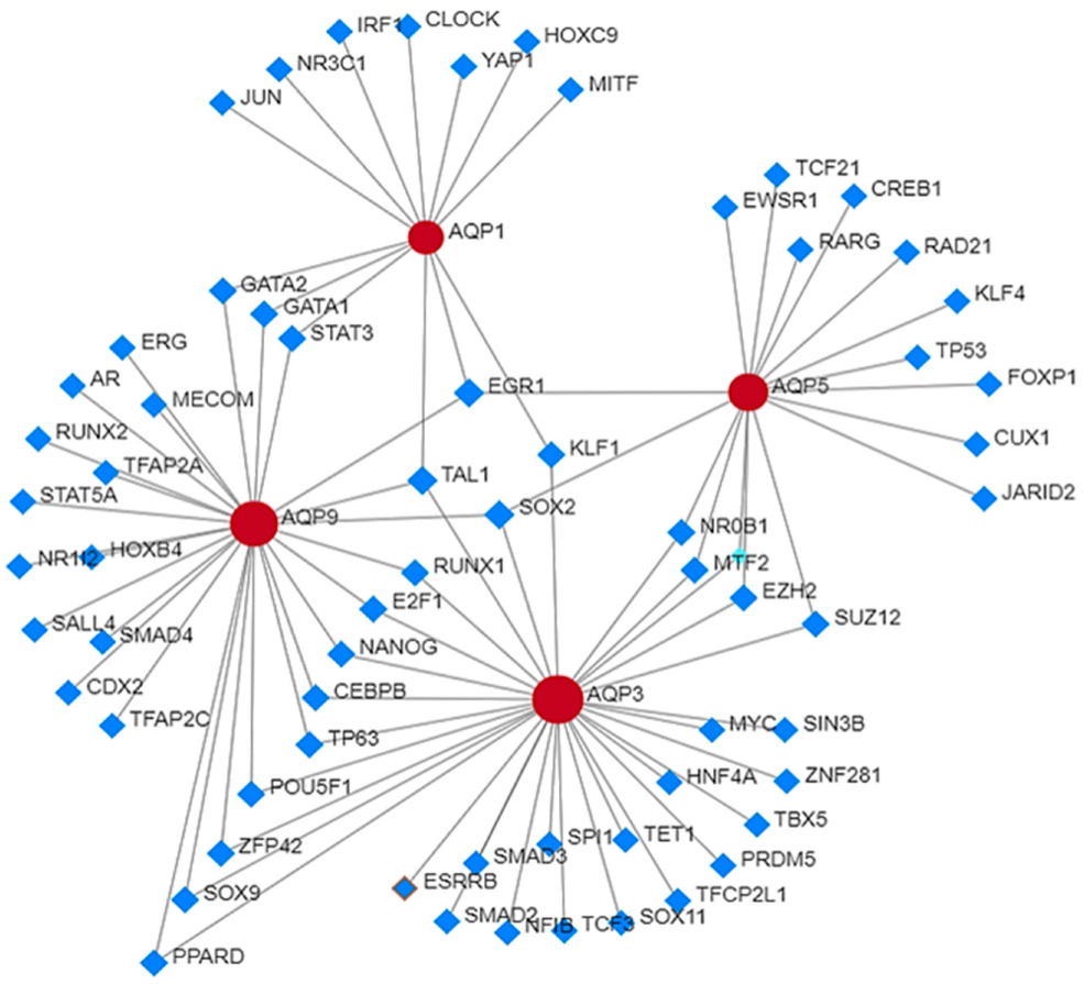 Cancers 15 00331 g003