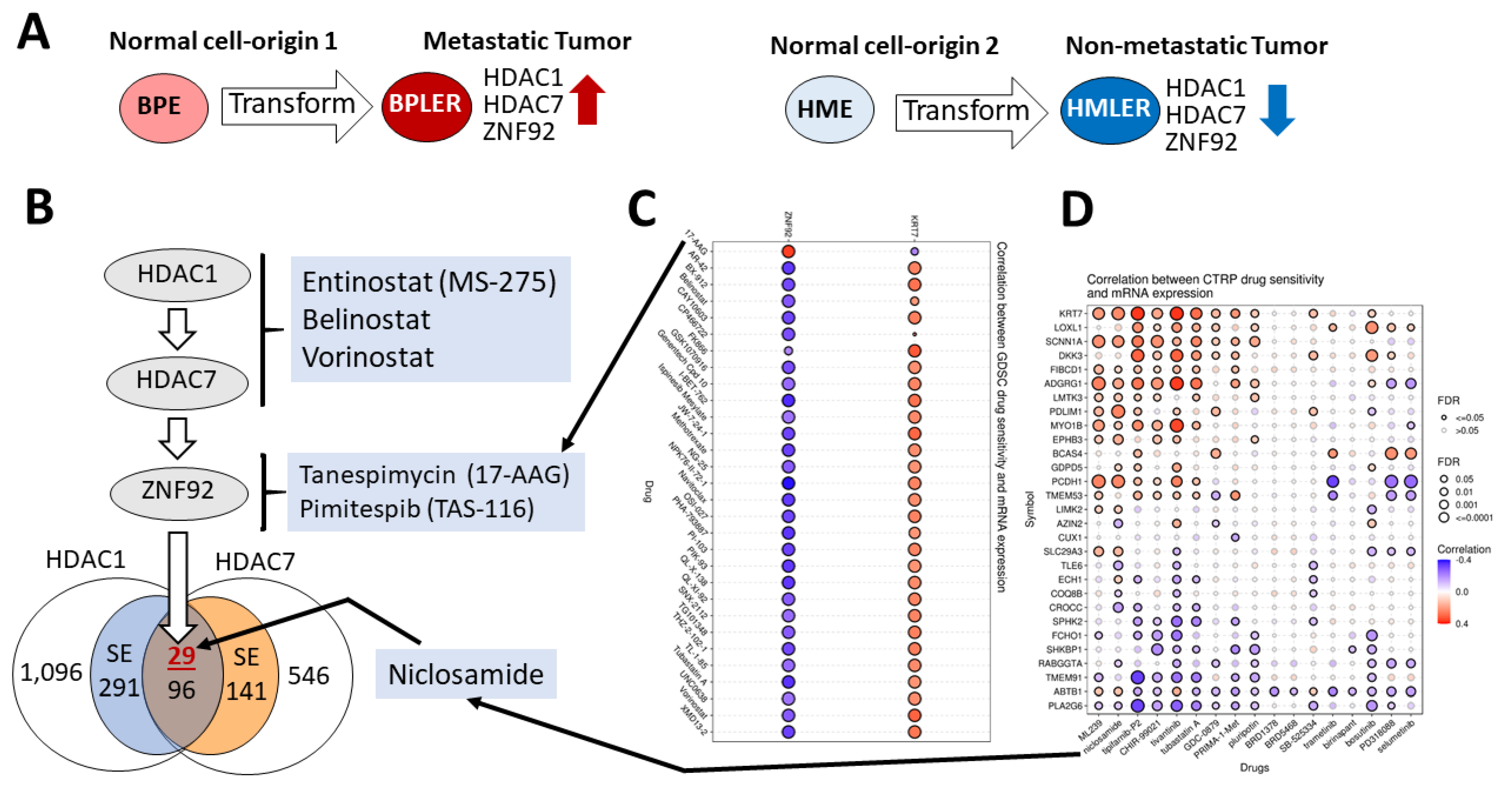 Cancers 15 00332 g001