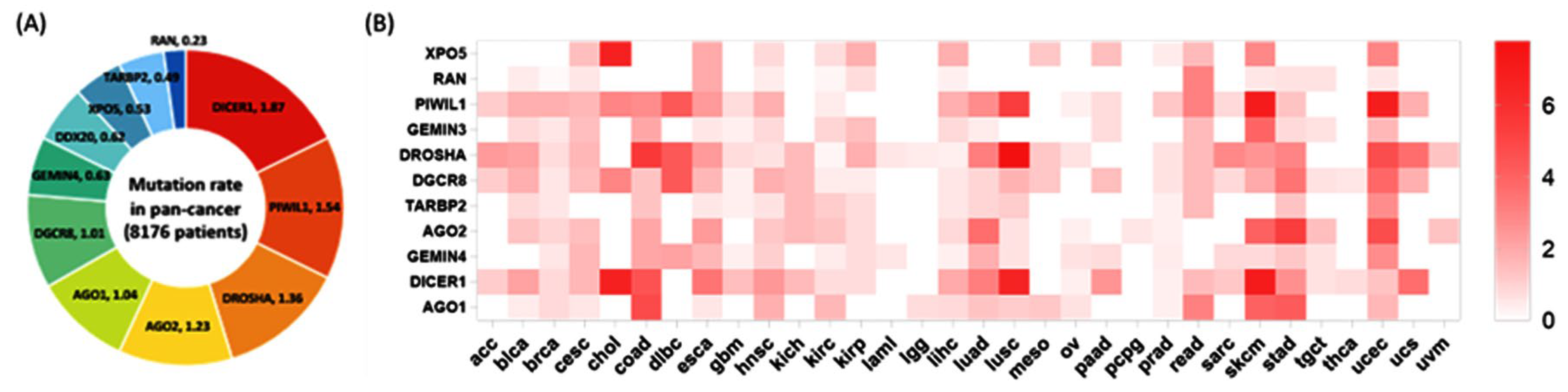 Cancers 15 00338 g006