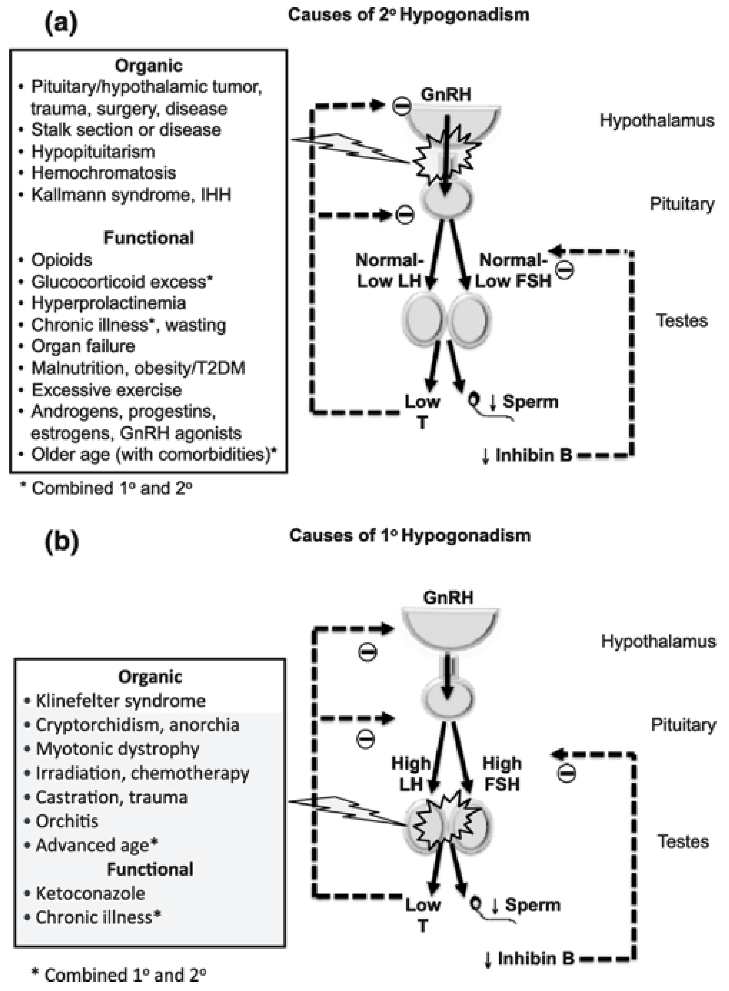 Cancers 15 00341 g001