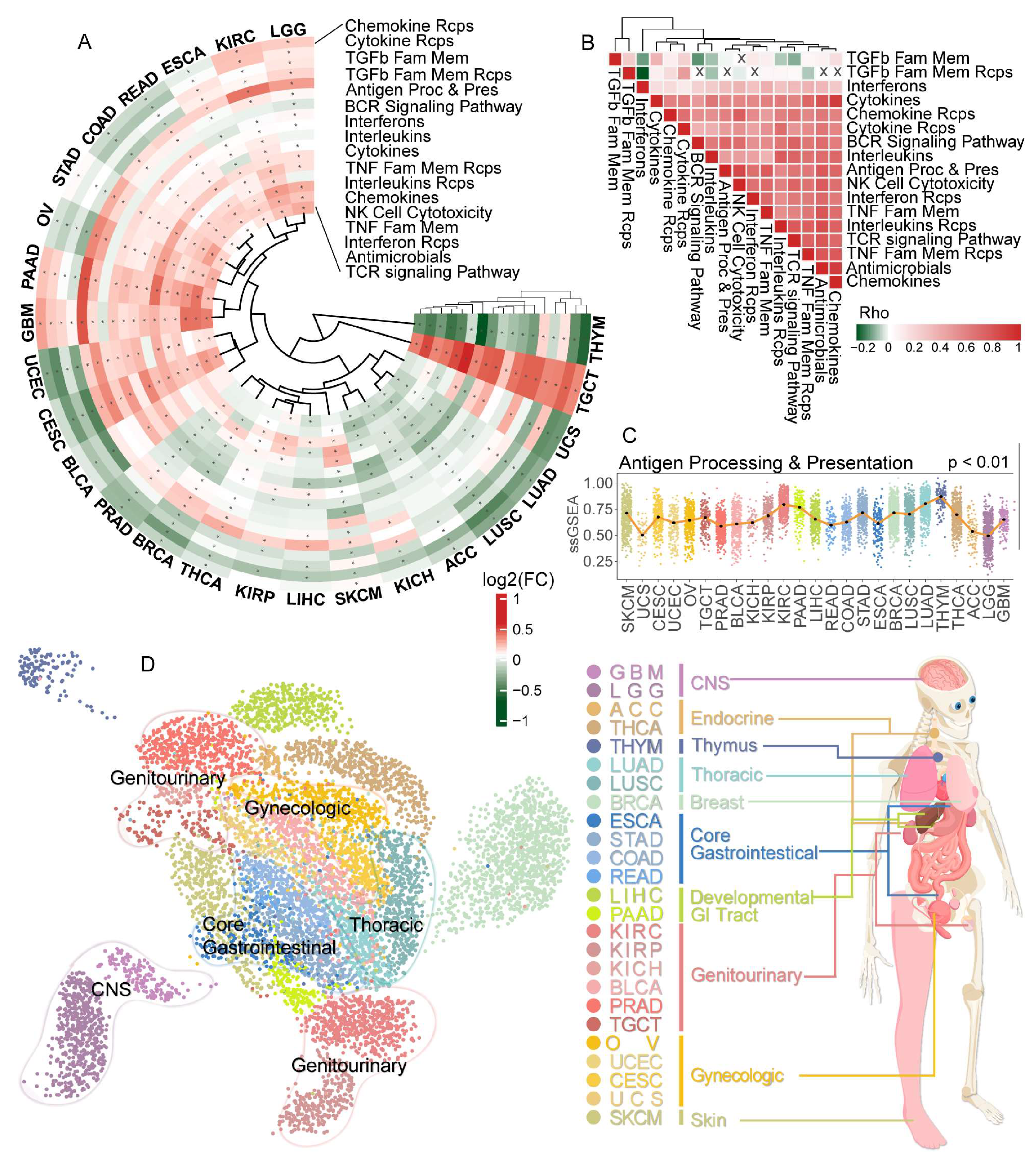 Cancers 15 00342 g001 Cancers 15 00342 g001