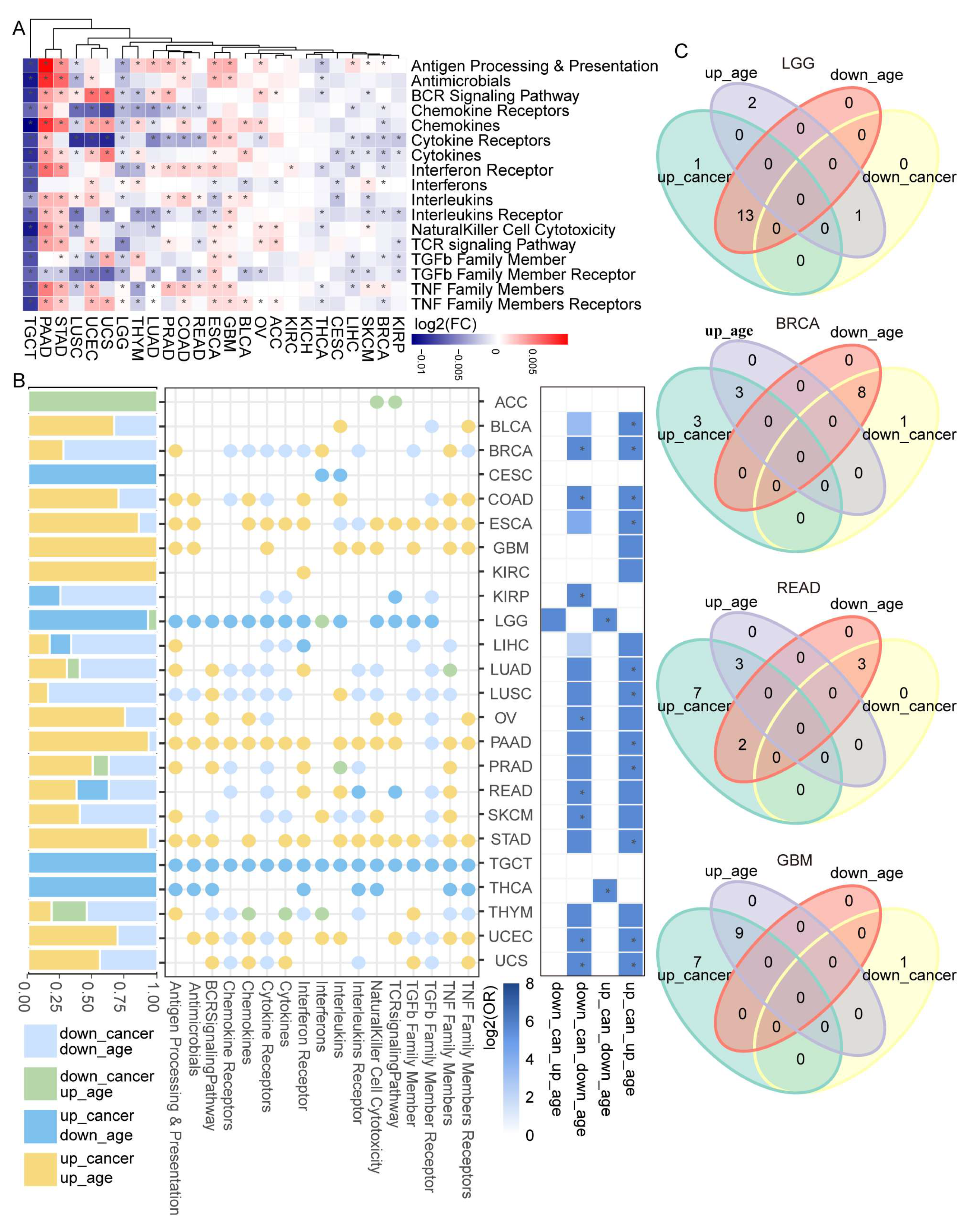 Cancers 15 00342 g002 Cancers 15 00342 g002