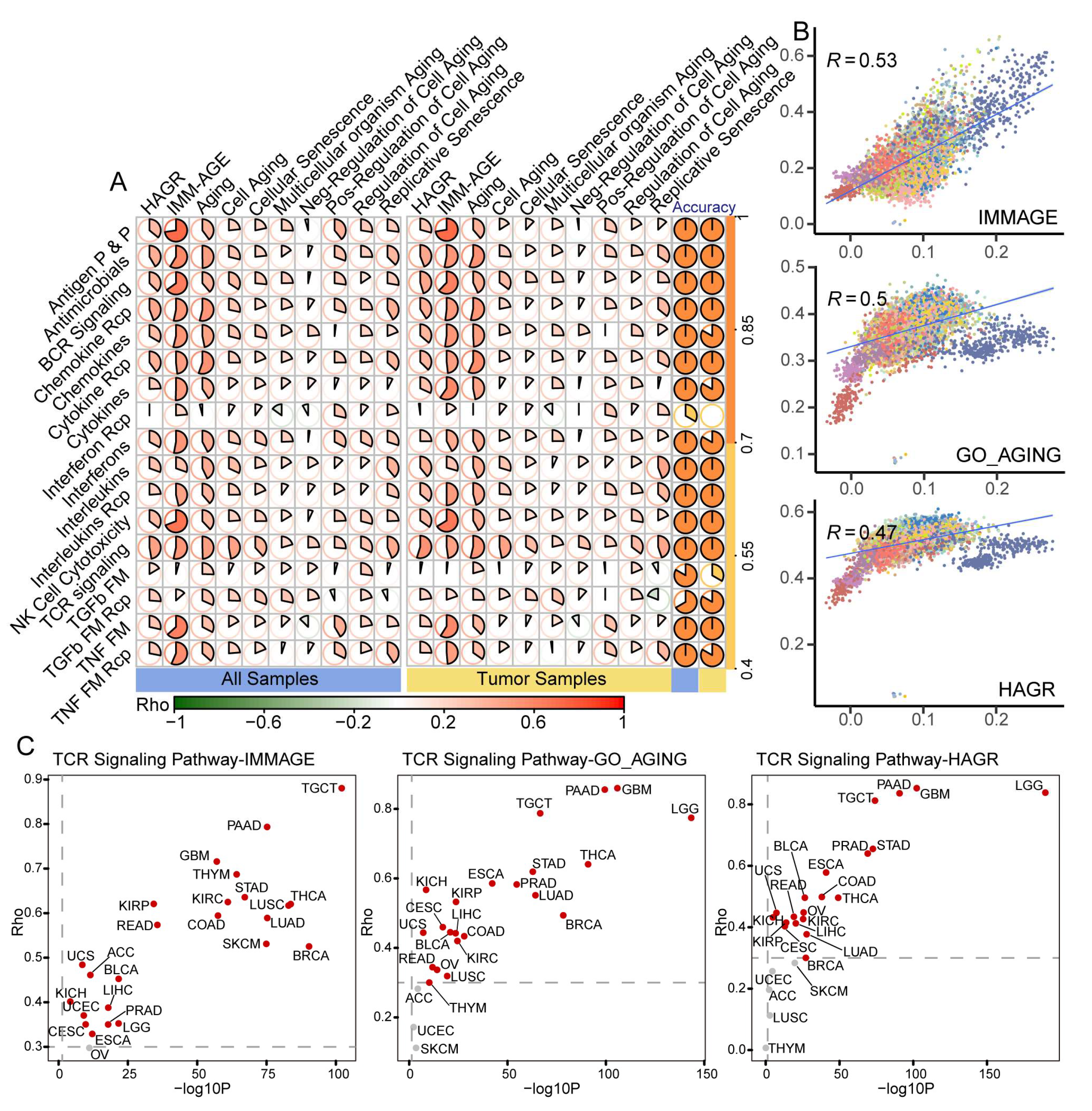 Cancers 15 00342 g003 Cancers 15 00342 g003