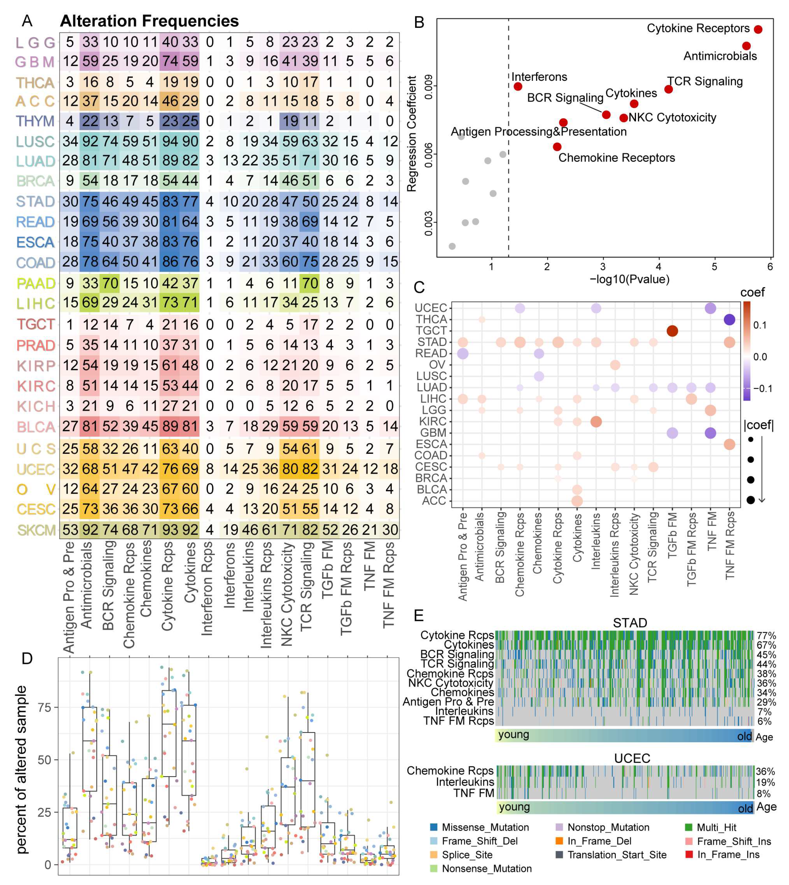 Cancers 15 00342 g004 Cancers 15 00342 g004