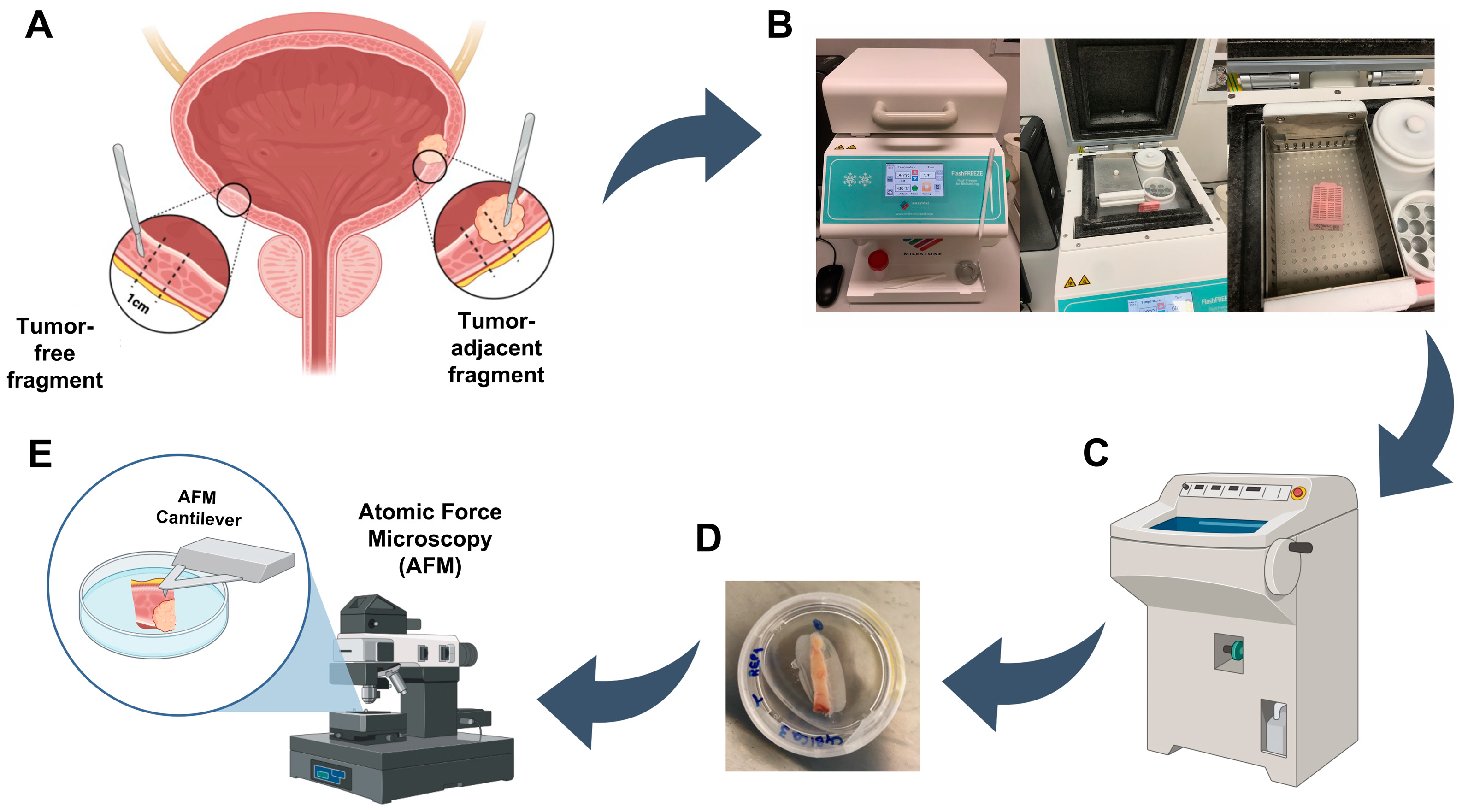 Cancers 15 00359 g001
