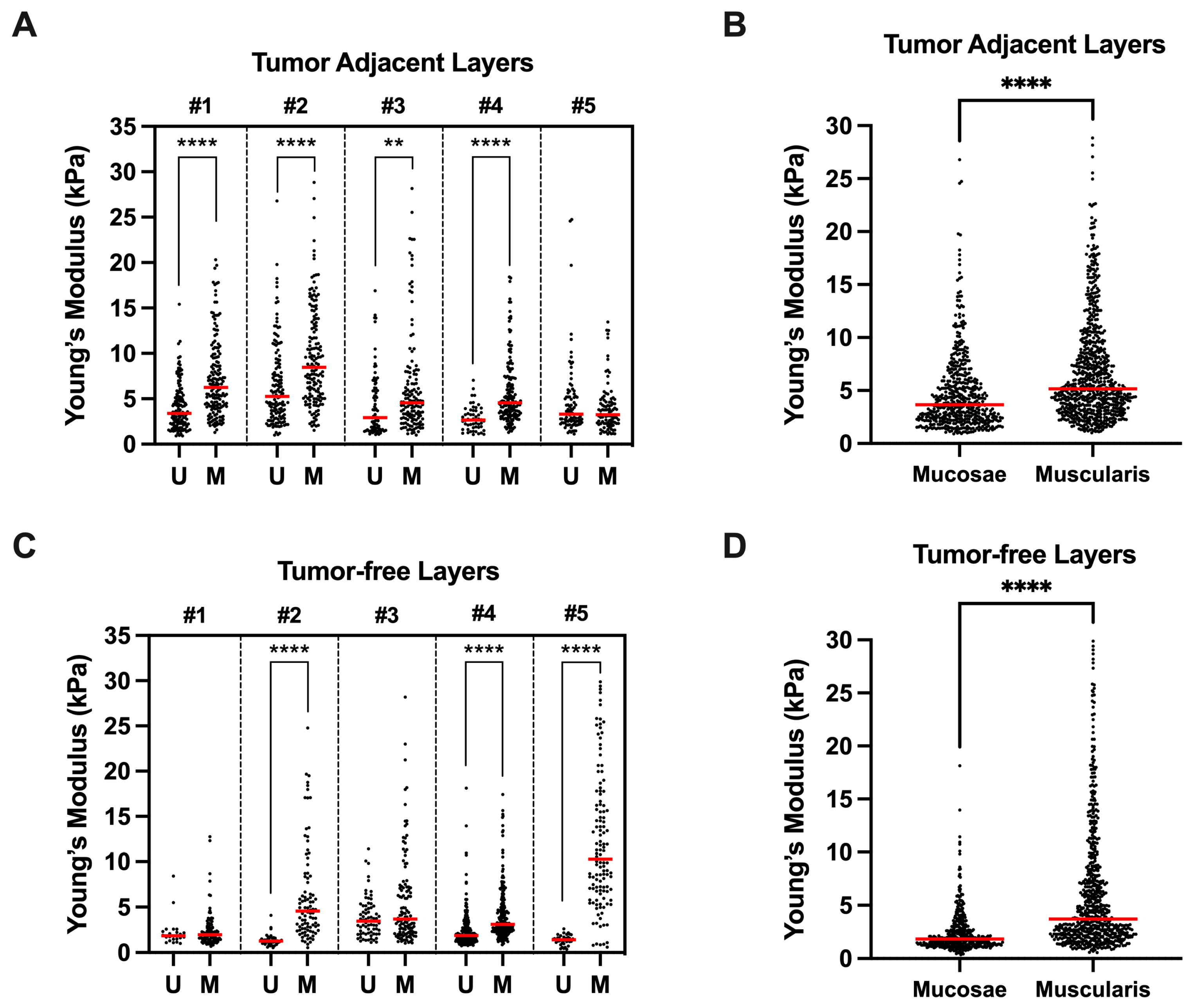 Cancers 15 00359 g003