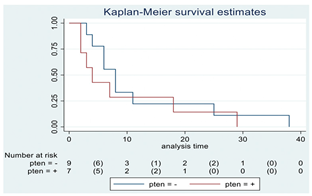Cancers 15 00361 i003 Cancers 15 00361 i003