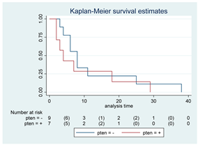 Cancers 15 00361 i011 Cancers 15 00361 i011