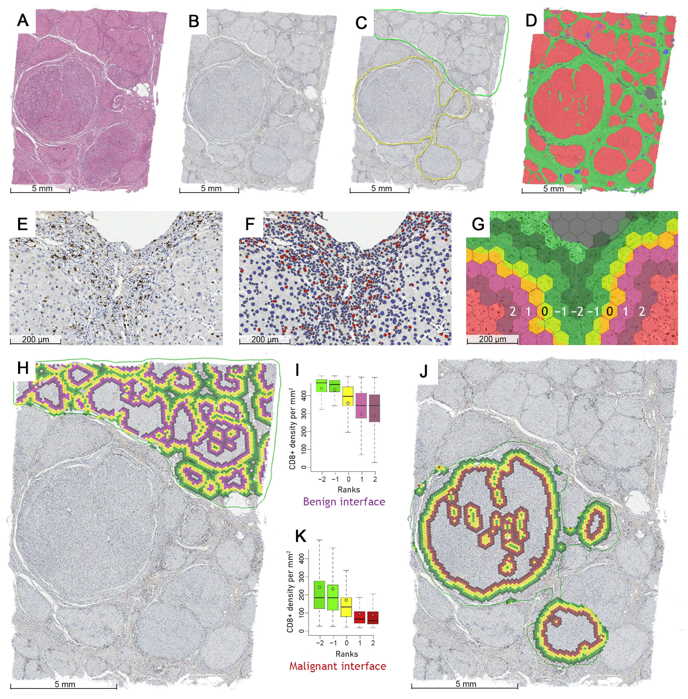 Cancers 15 00366 g001 Cancers 15 00366 g001