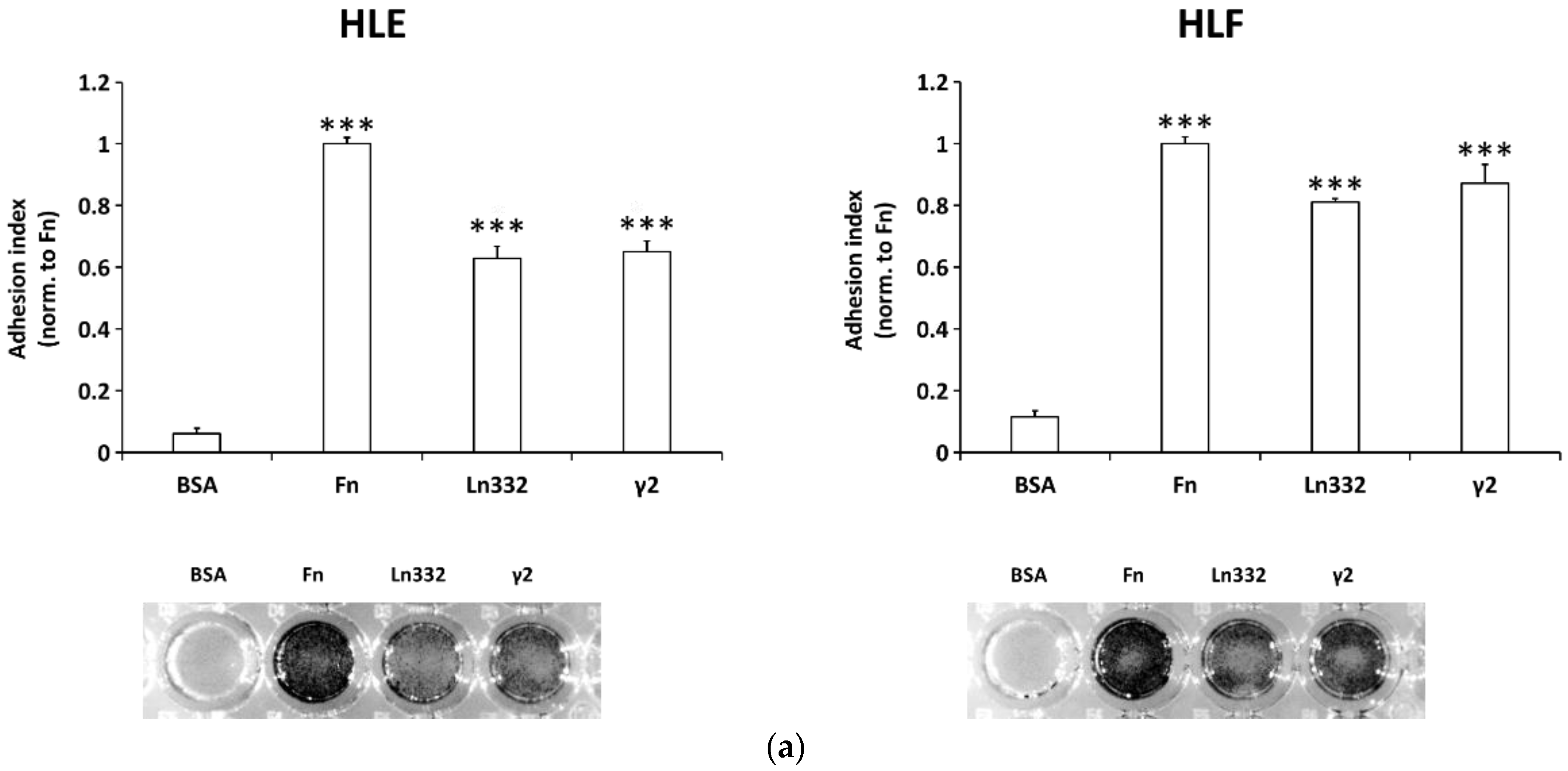 Cancers 15 00373 g001a Cancers 15 00373 g001a