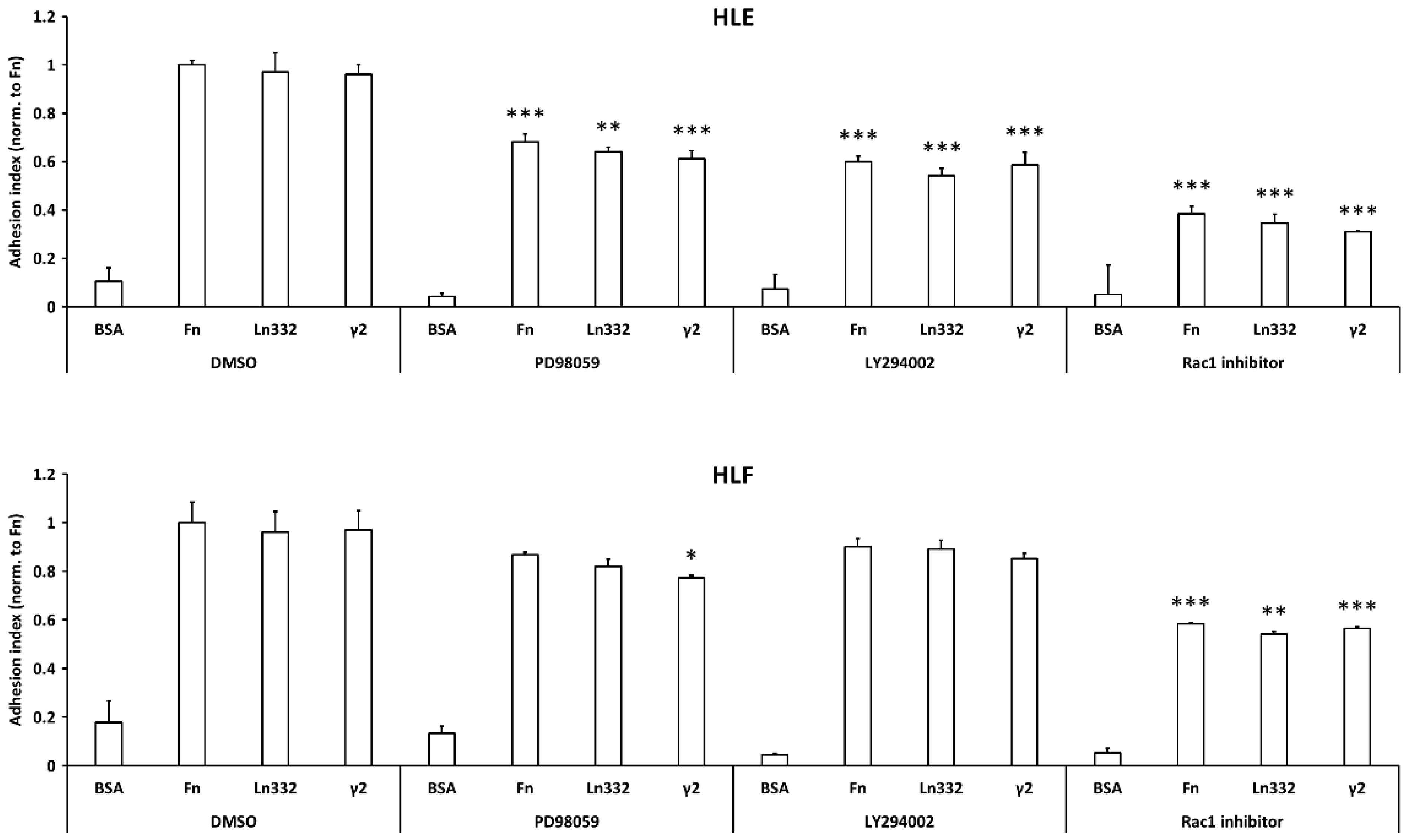 Cancers 15 00373 g003 Cancers 15 00373 g003