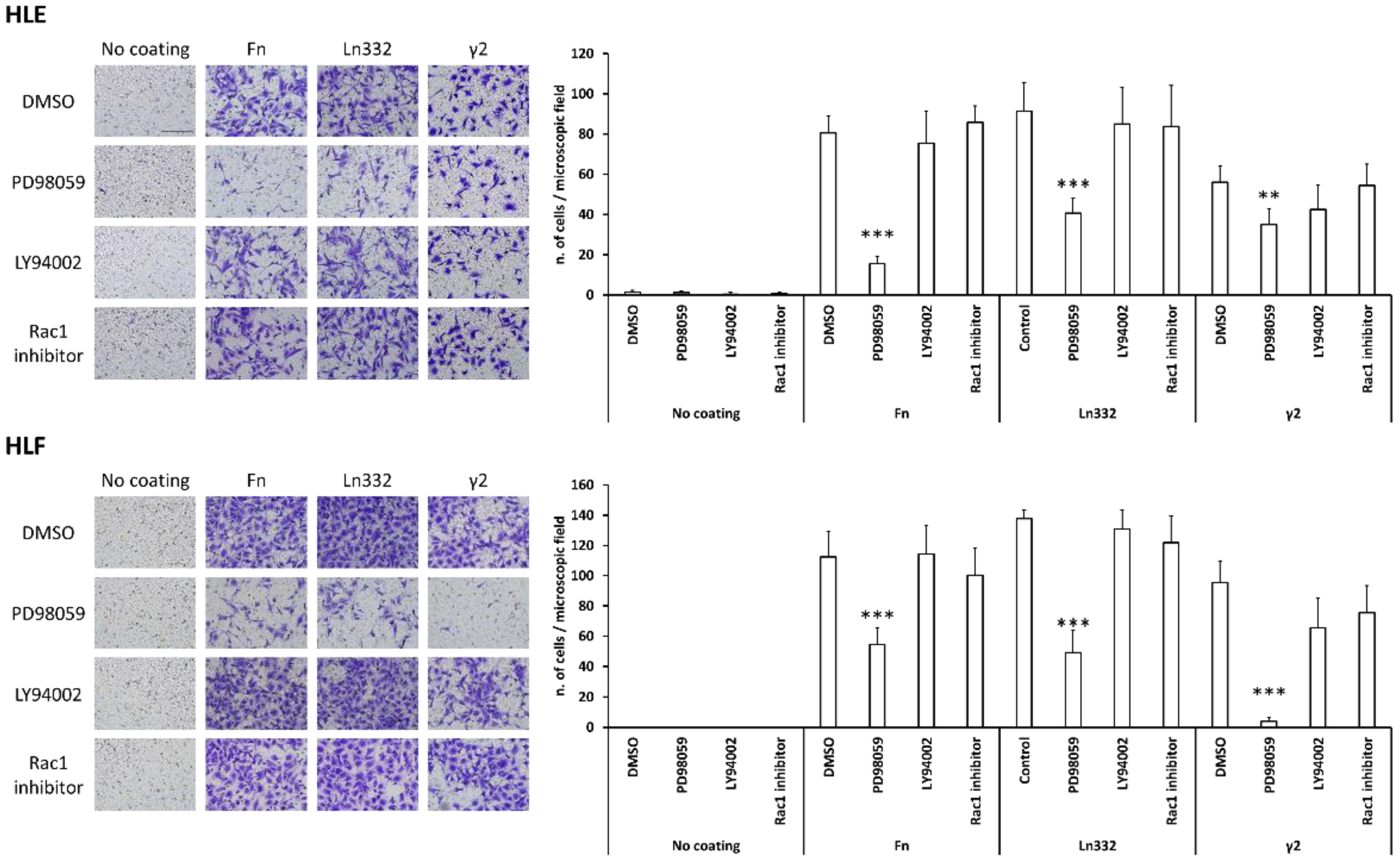 Cancers 15 00373 g004 Cancers 15 00373 g004