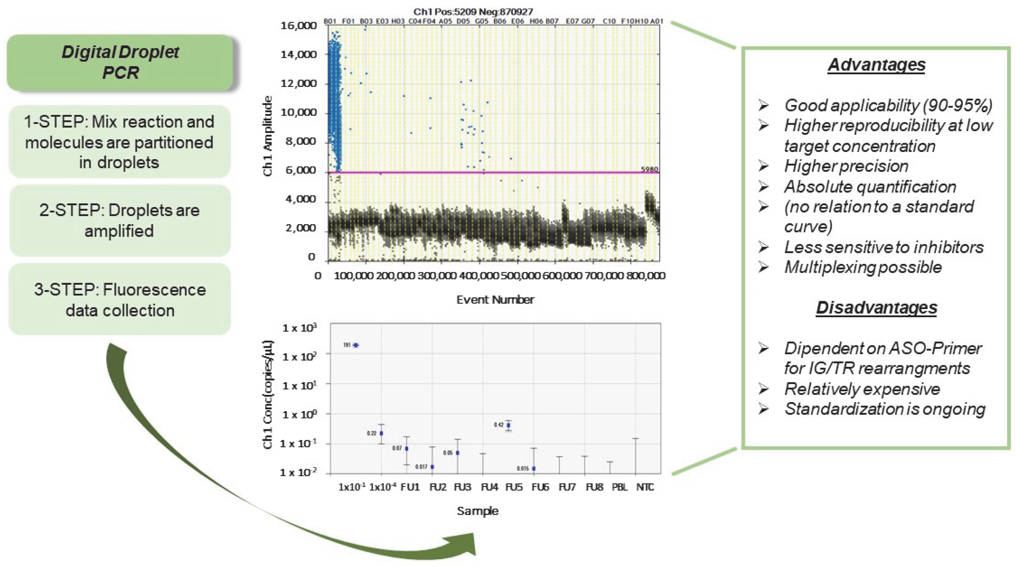 Cancers 15 00374 g001 Cancers 15 00374 g001