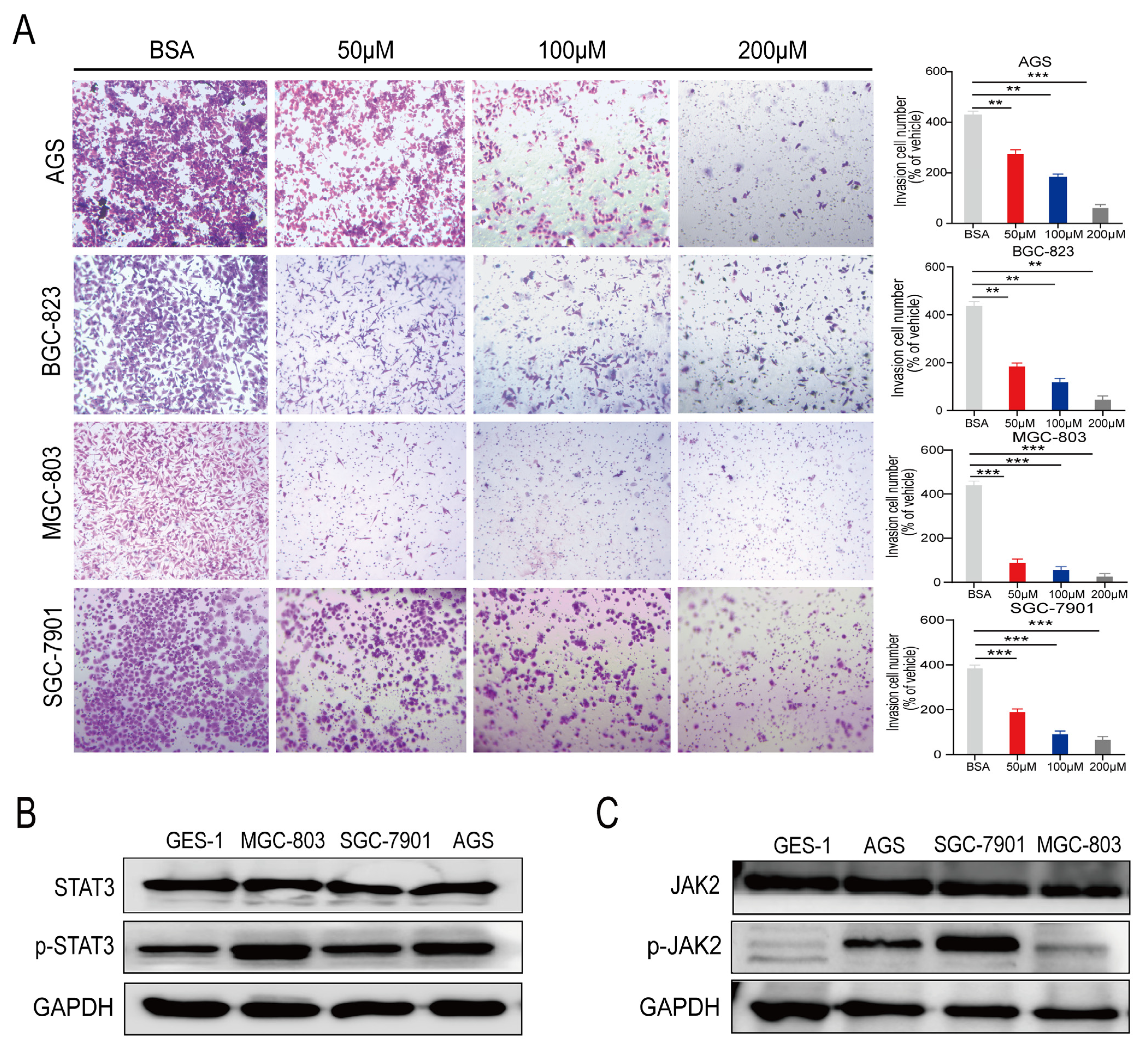 Cancers 15 00388 g002