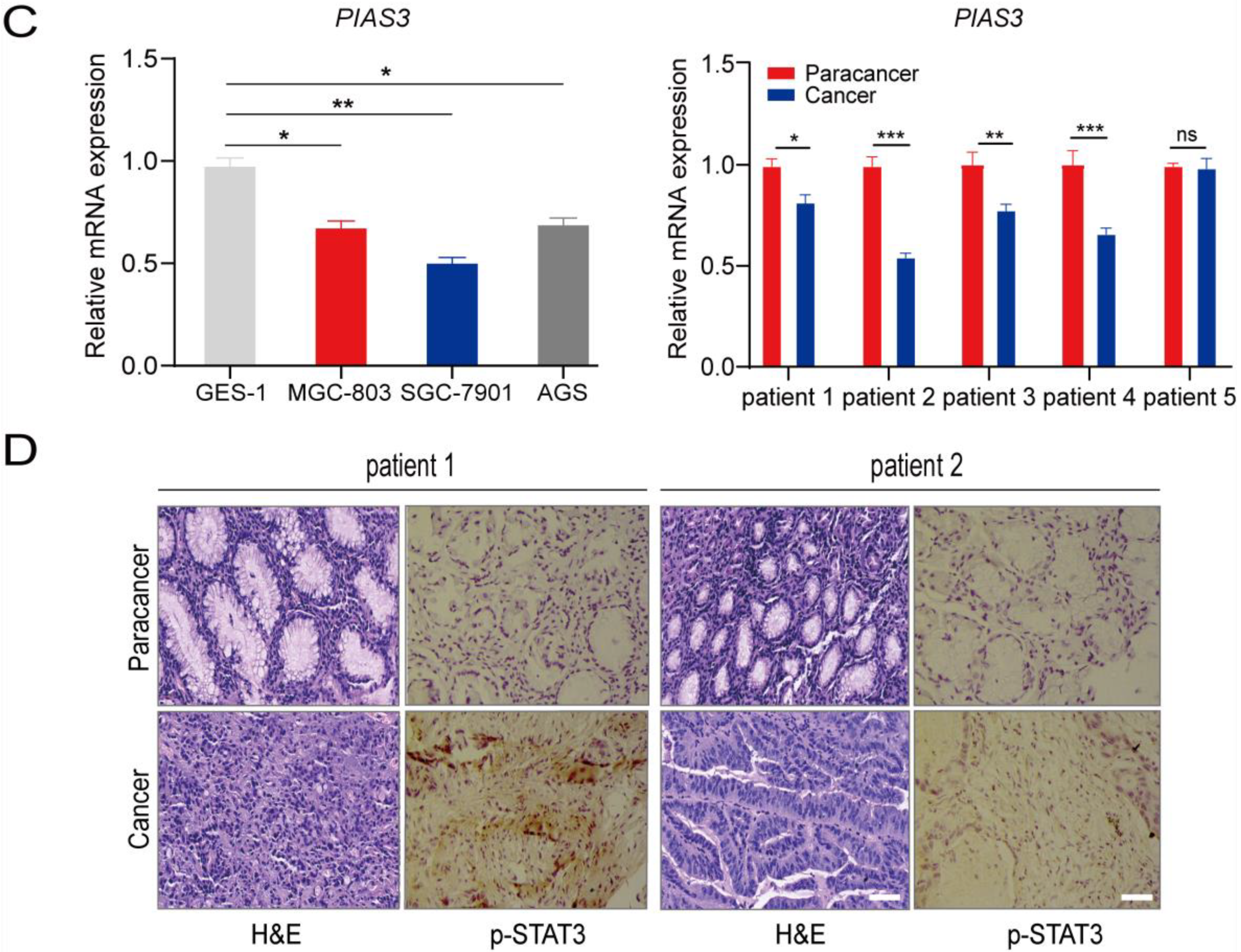 Cancers 15 00388 g003b