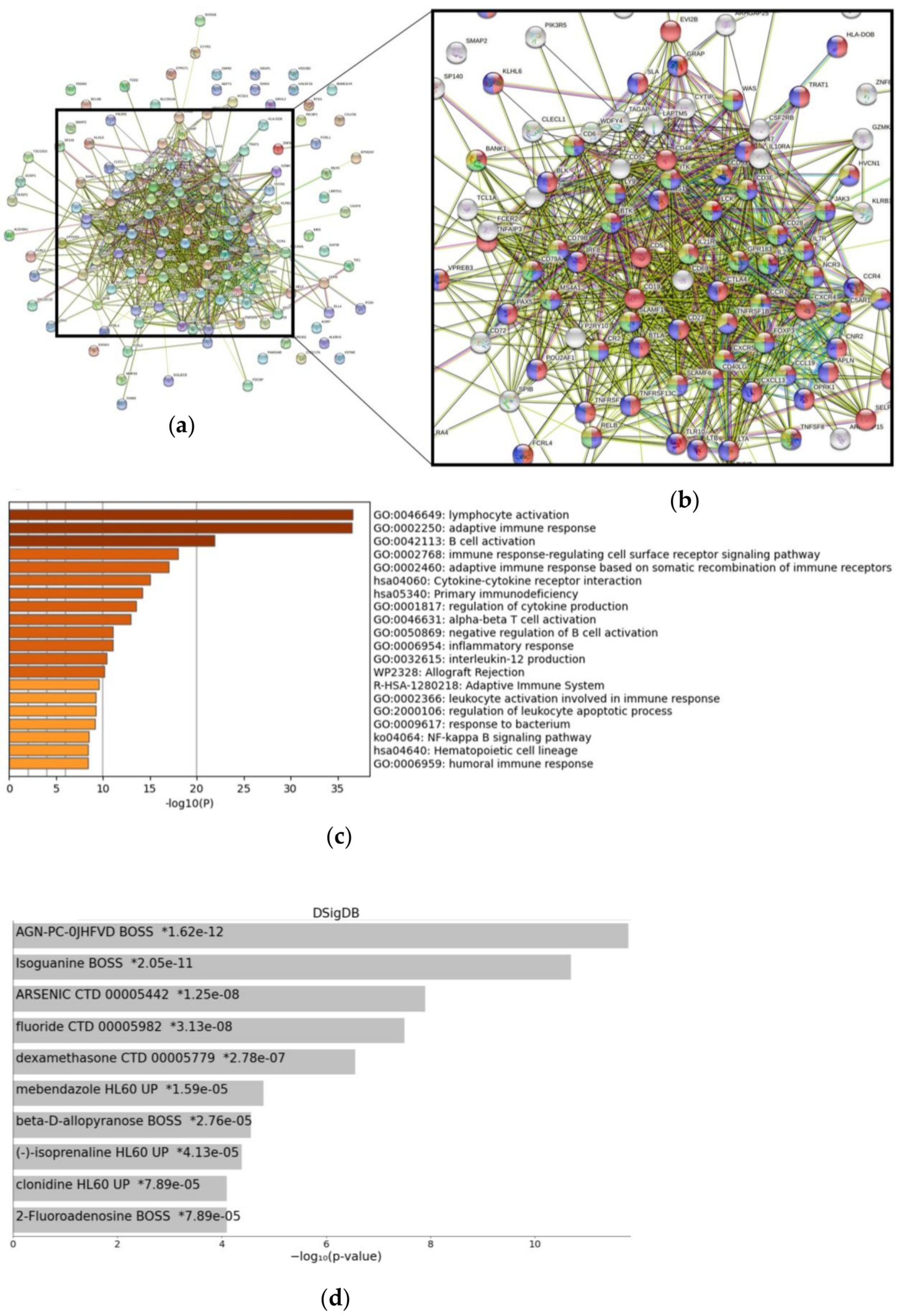 Cancers 15 00392 g001 Cancers 15 00392 g001