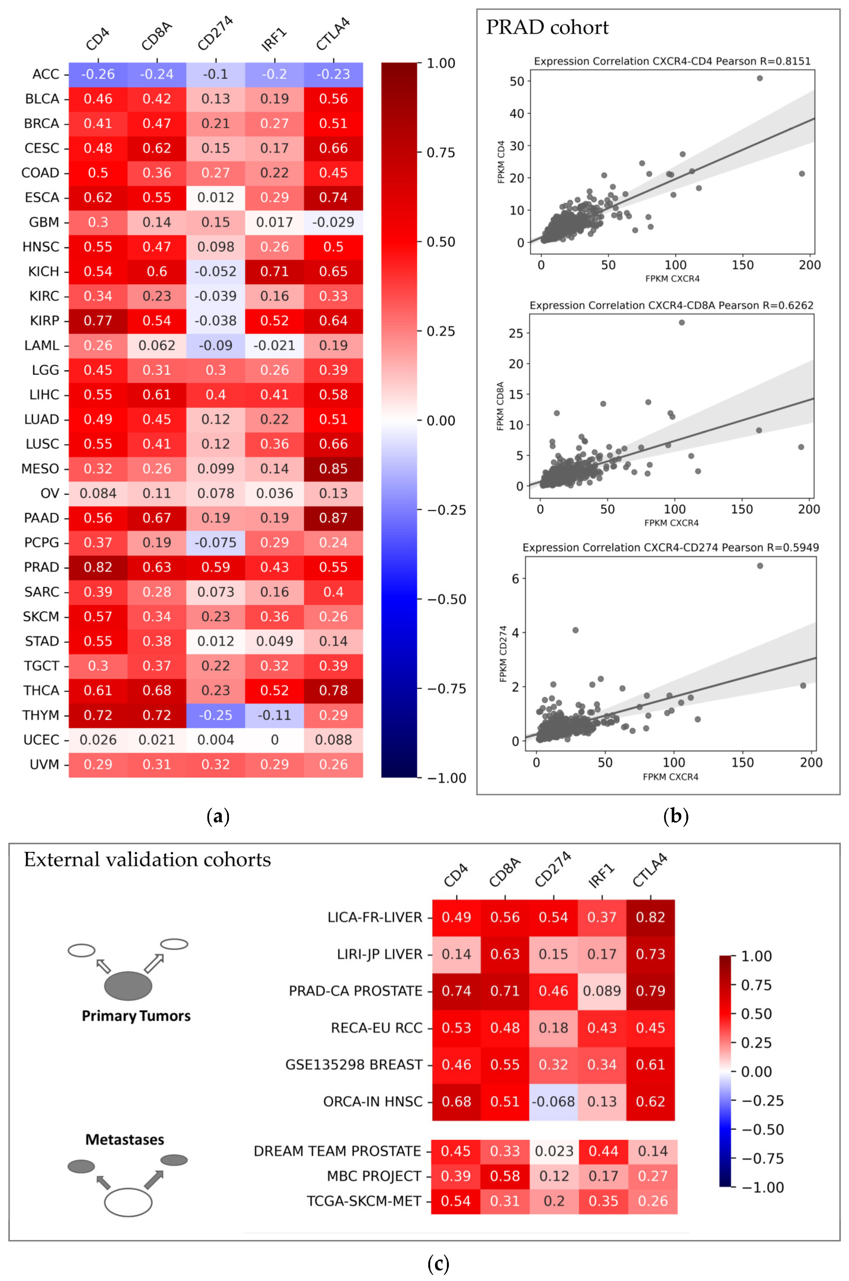 Cancers 15 00392 g002 Cancers 15 00392 g002