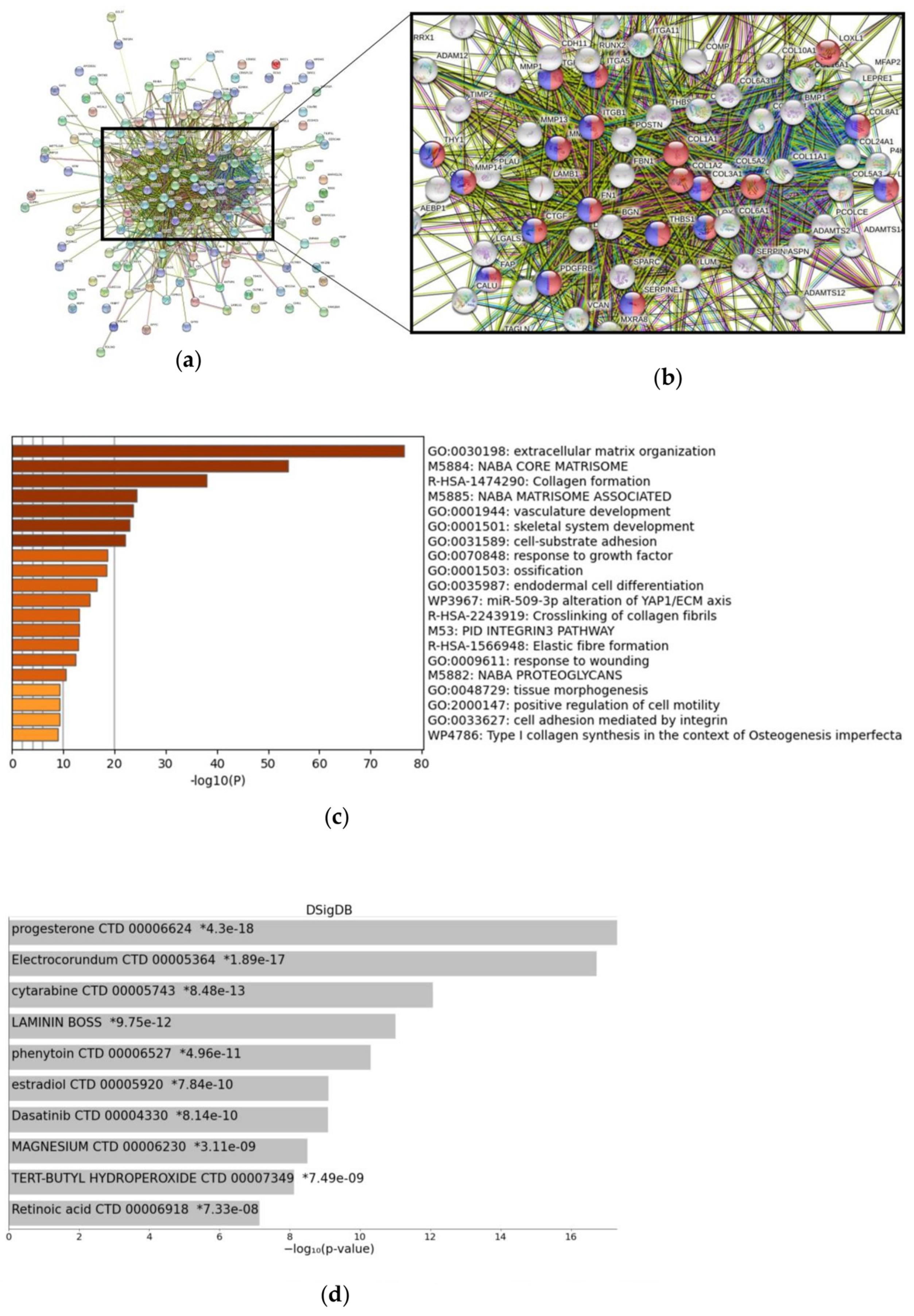 Cancers 15 00392 g004 Cancers 15 00392 g004