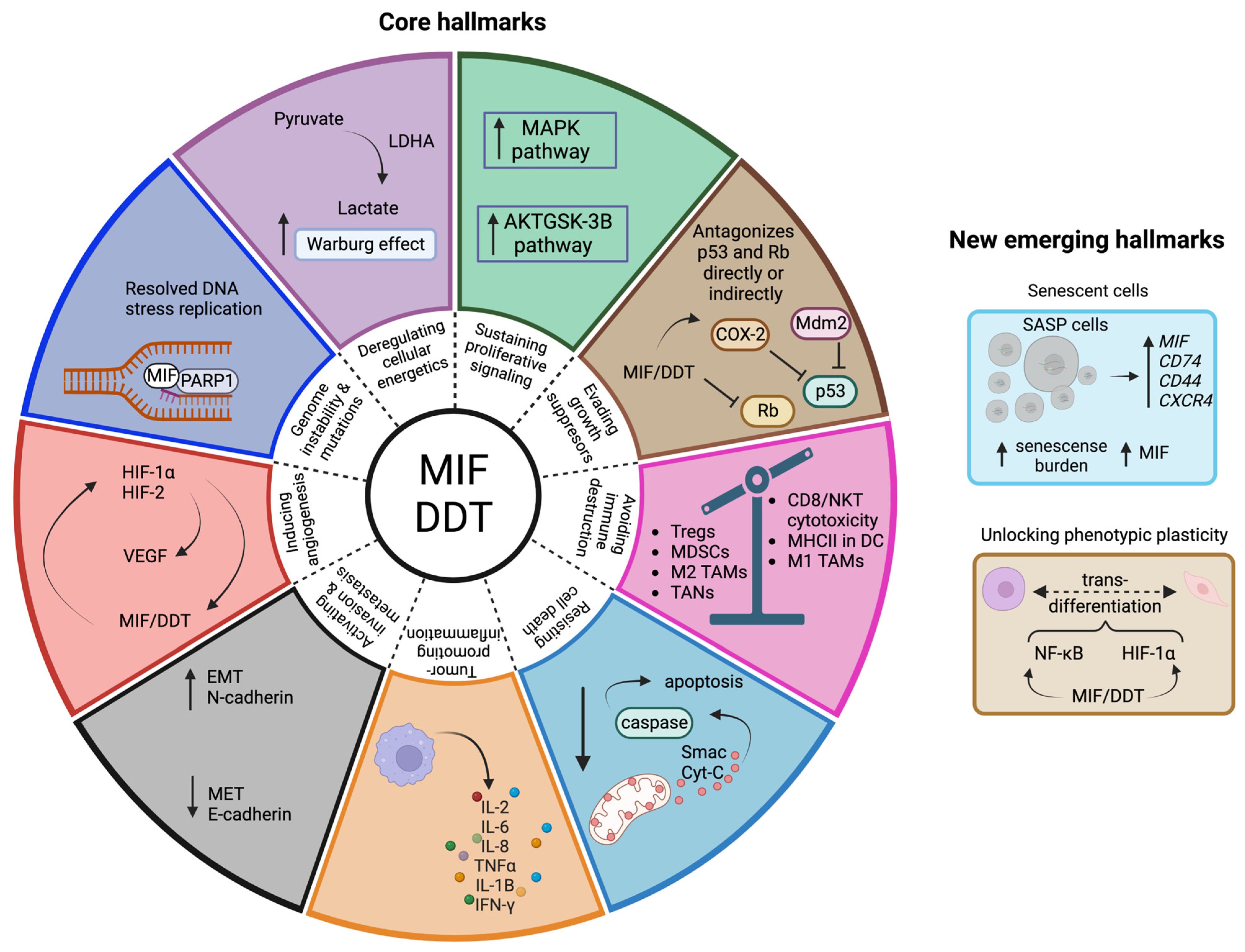 Cancers 15 00395 g002 Cancers 15 00395 g002