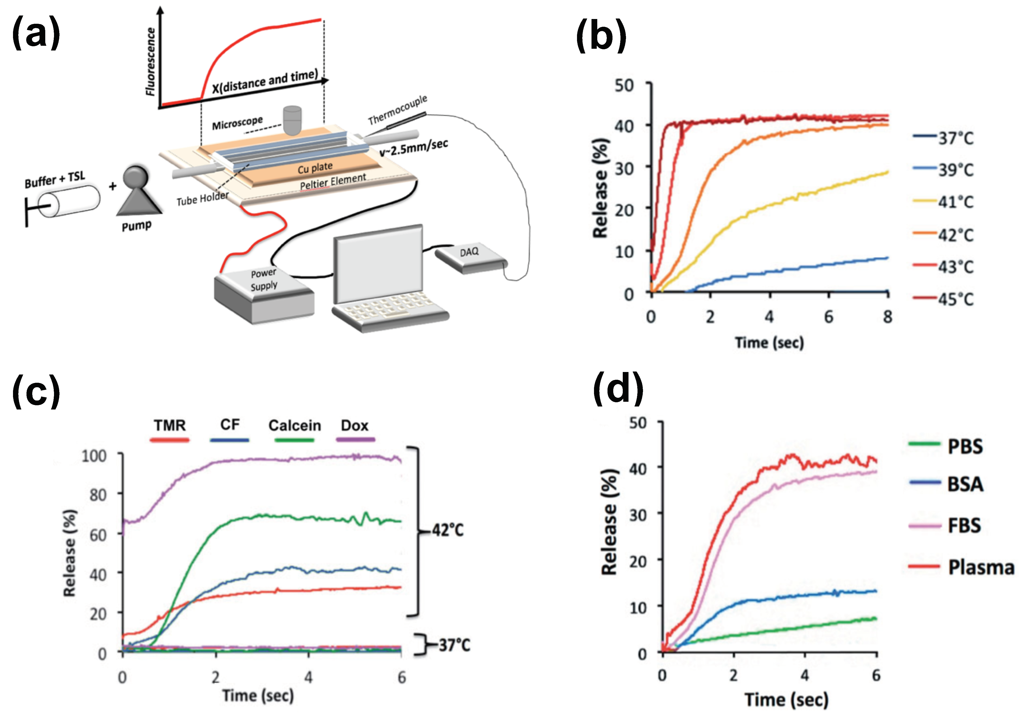 Cancers 15 00398 g006 Cancers 15 00398 g006