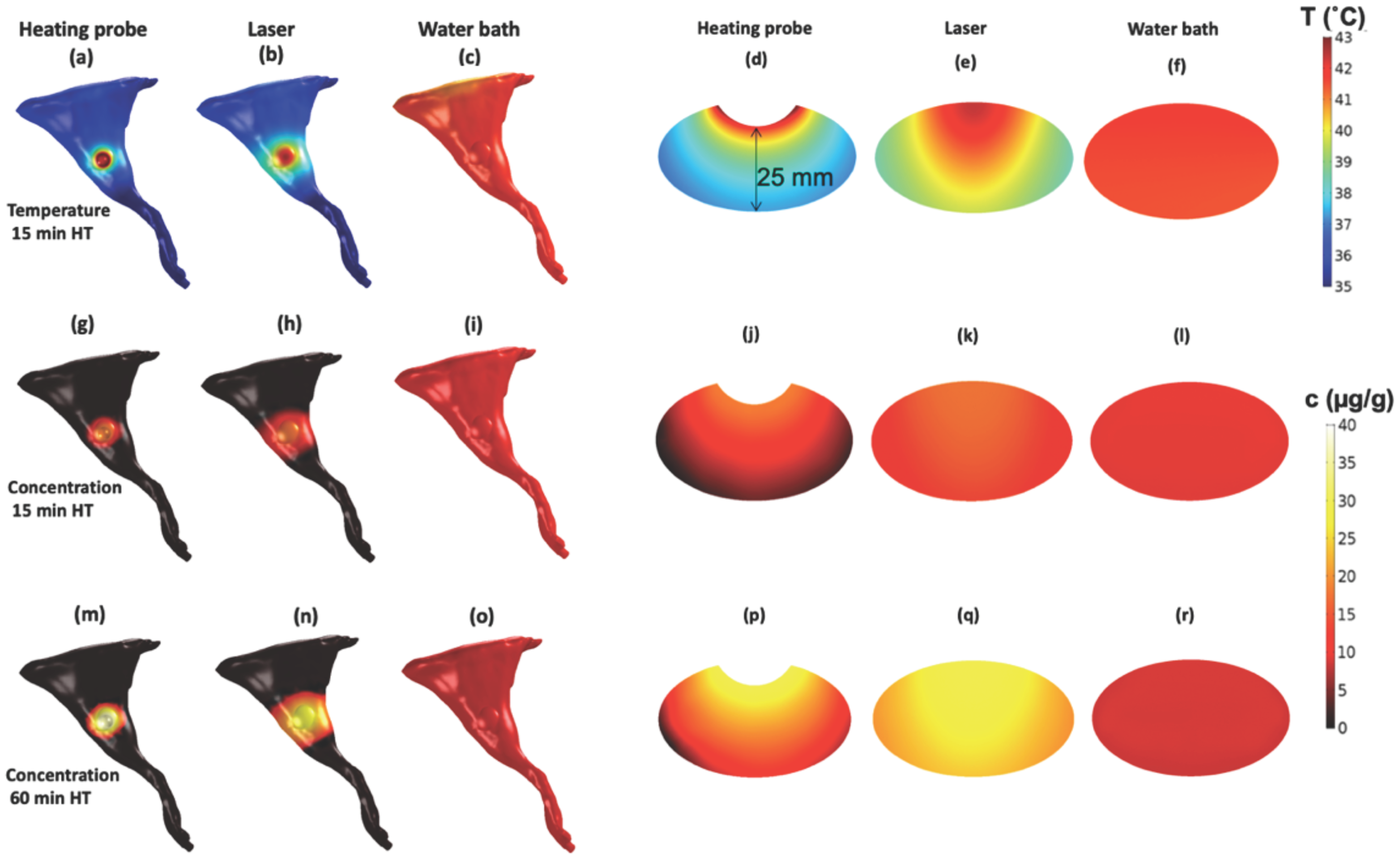 Cancers 15 00398 g016 Cancers 15 00398 g016