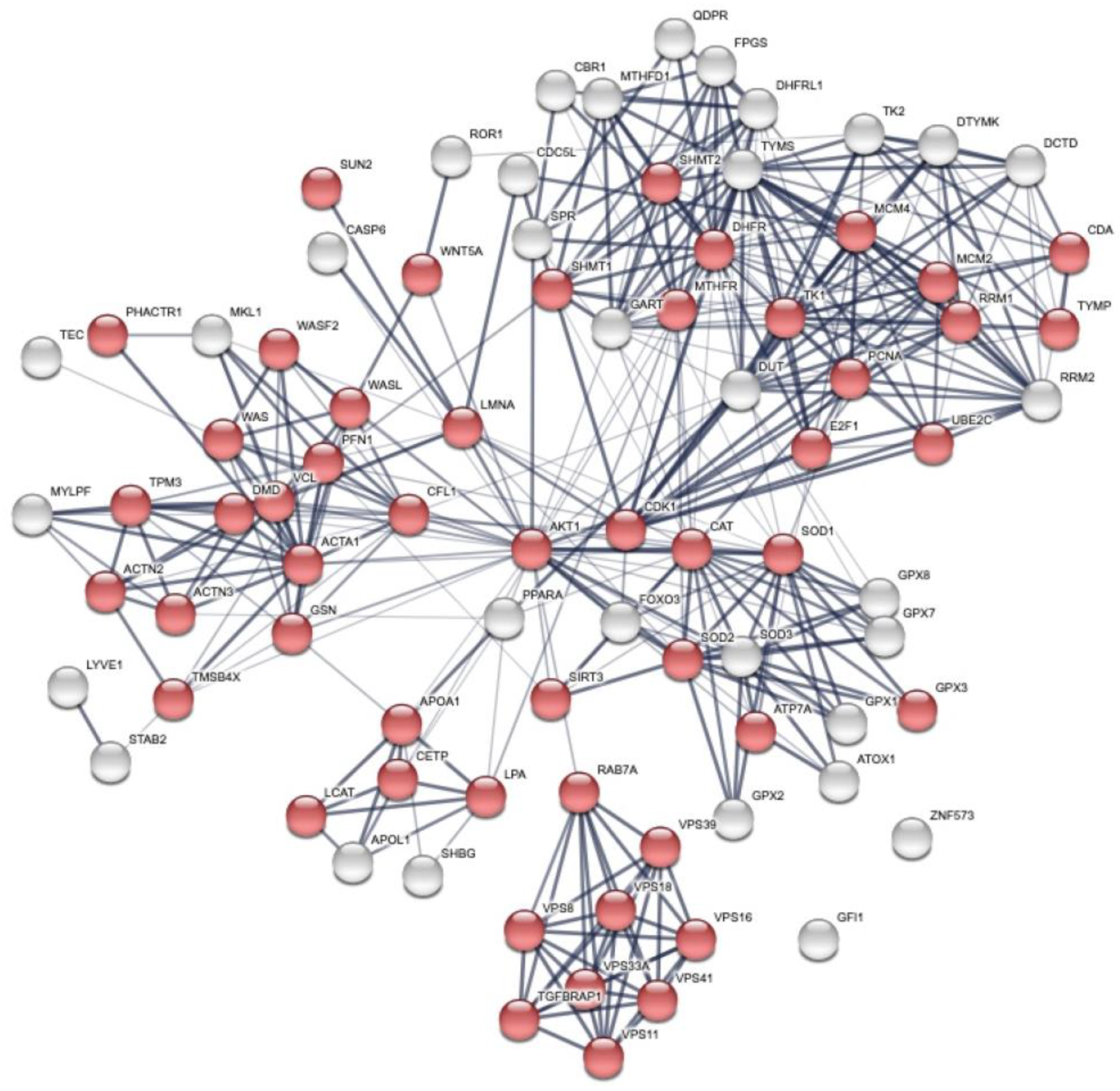 Cancers 15 00412 g003