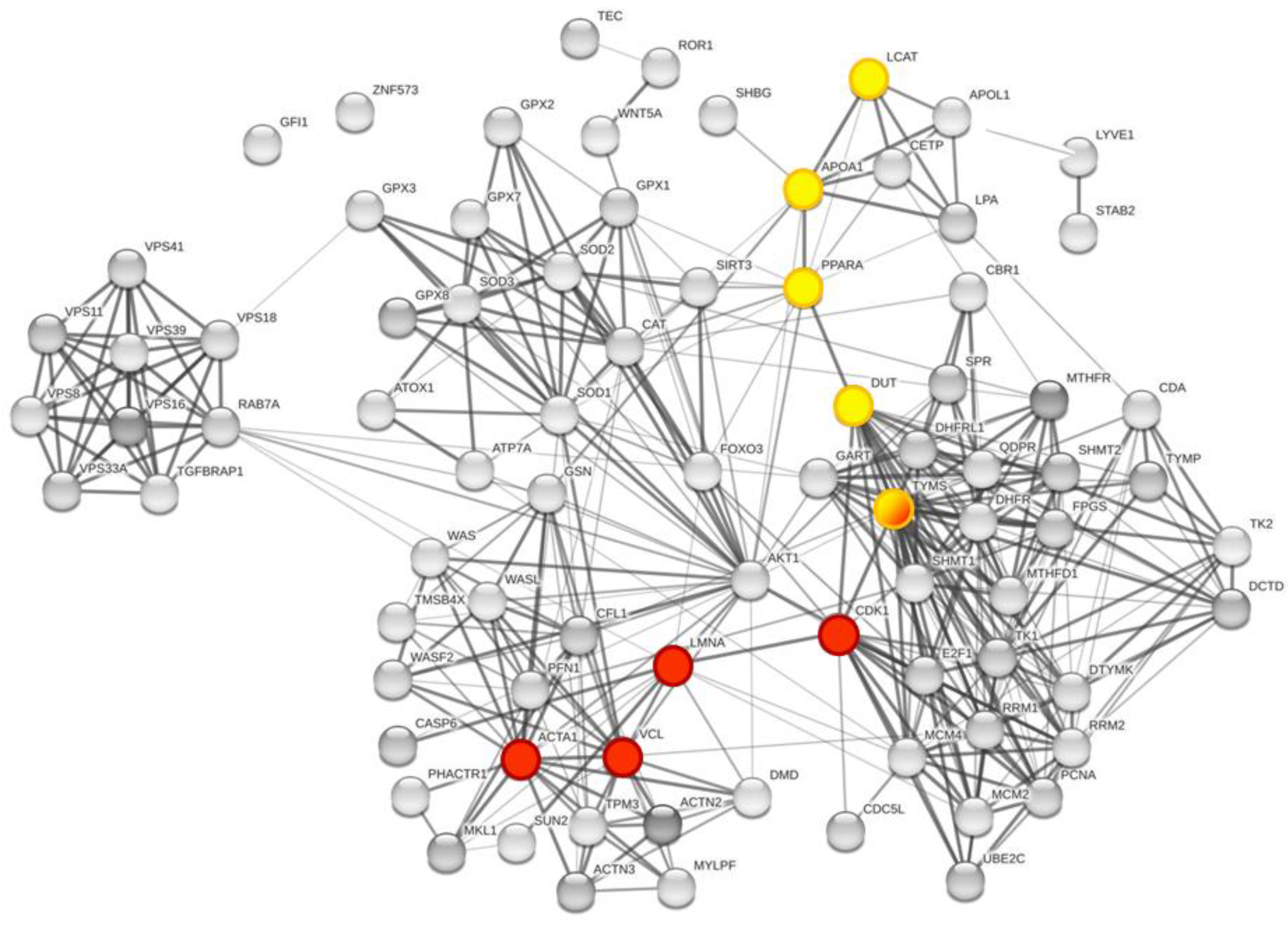 Cancers 15 00412 g007