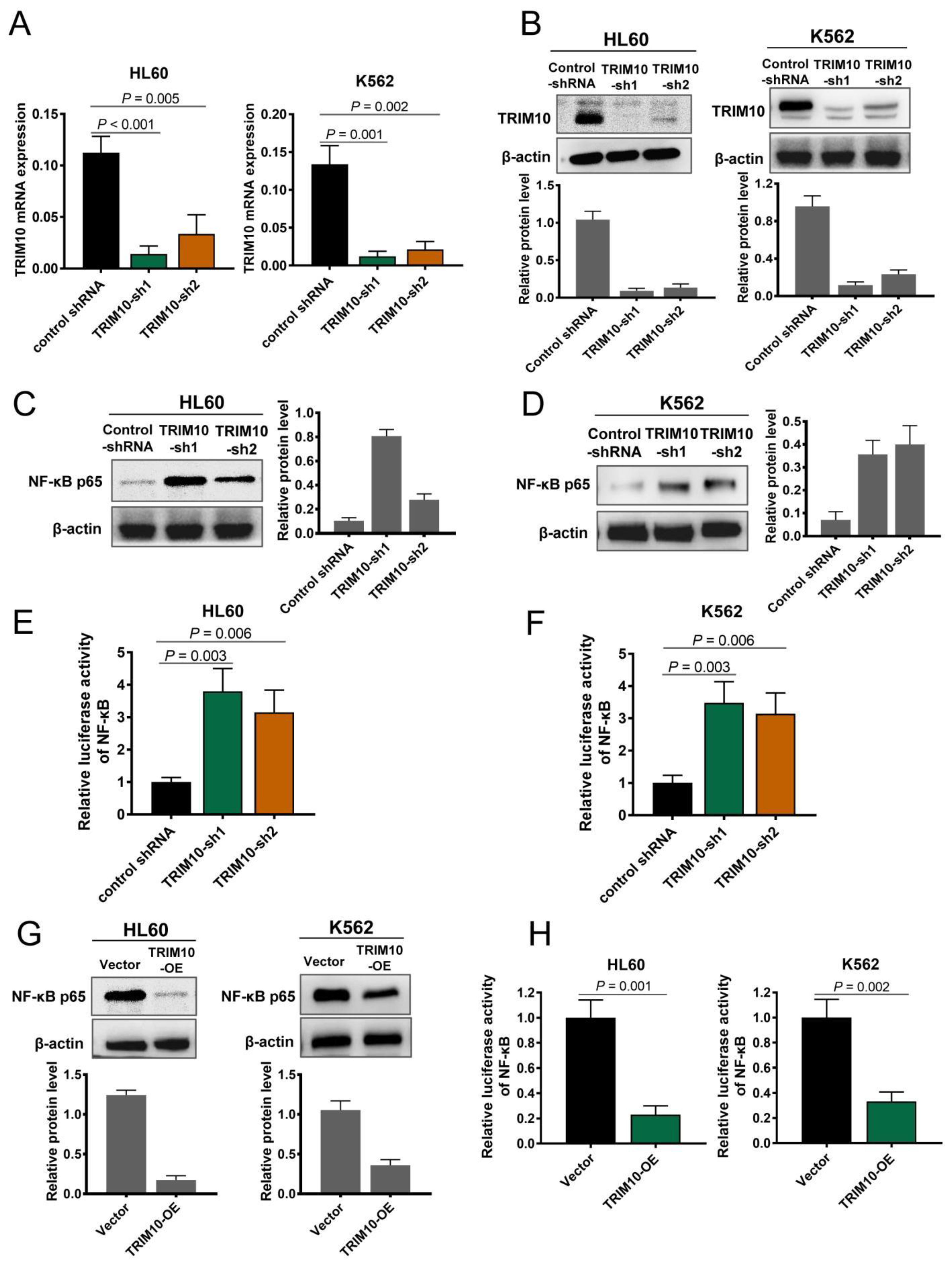Cancers 15 00417 g004 Cancers 15 00417 g004