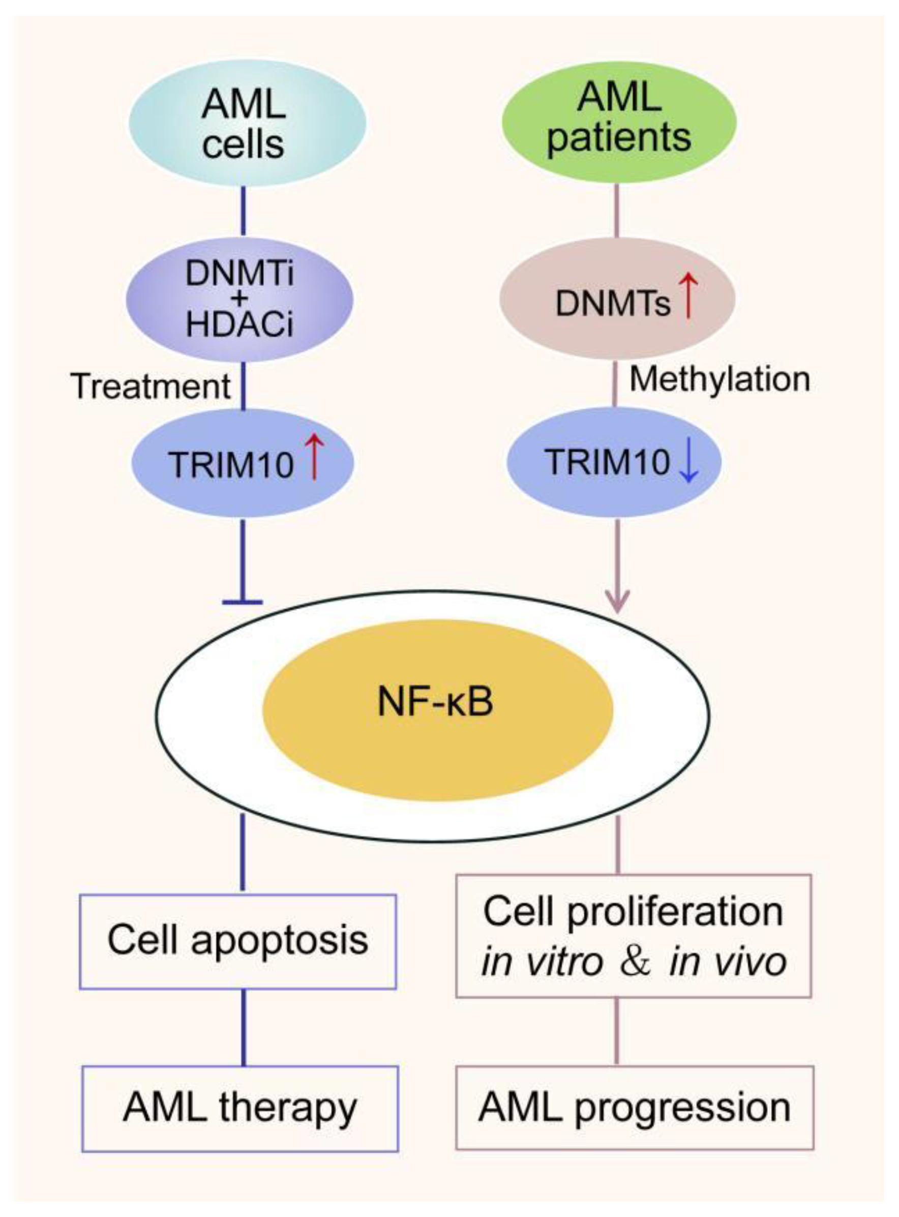 Cancers 15 00417 g007 Cancers 15 00417 g007