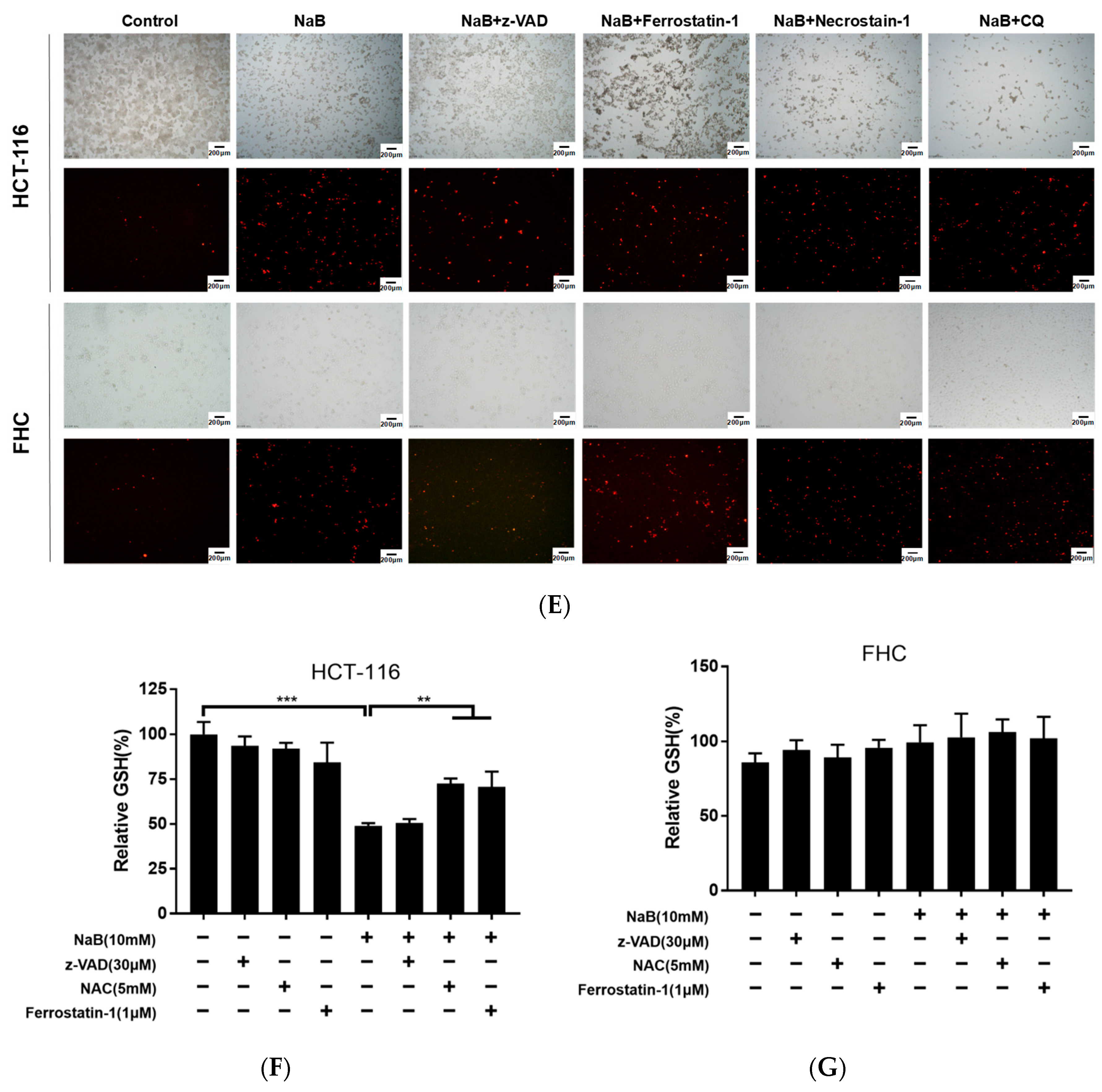 Cancers 15 00423 g001b Cancers 15 00423 g001b