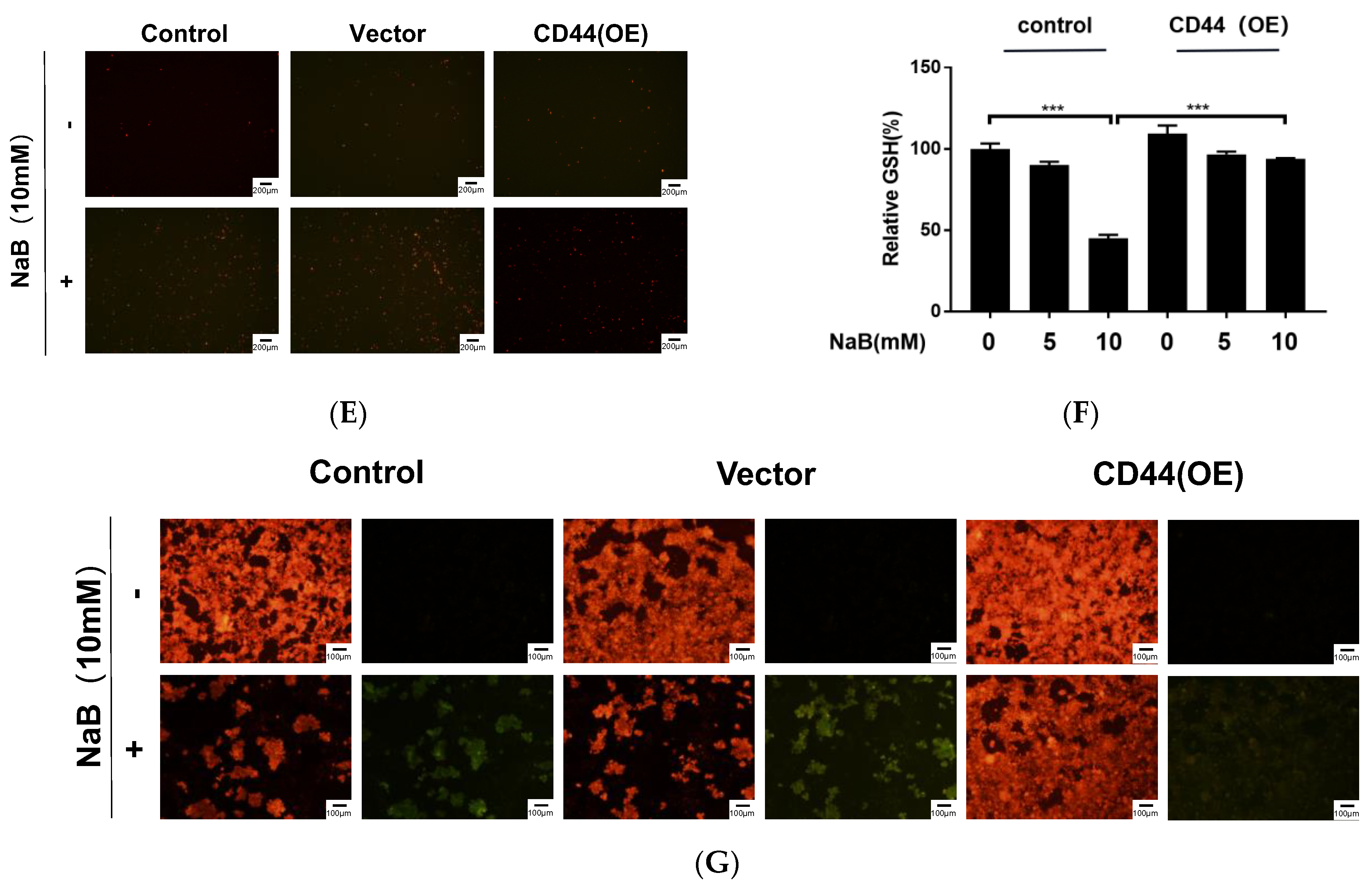 Cancers 15 00423 g005b Cancers 15 00423 g005b