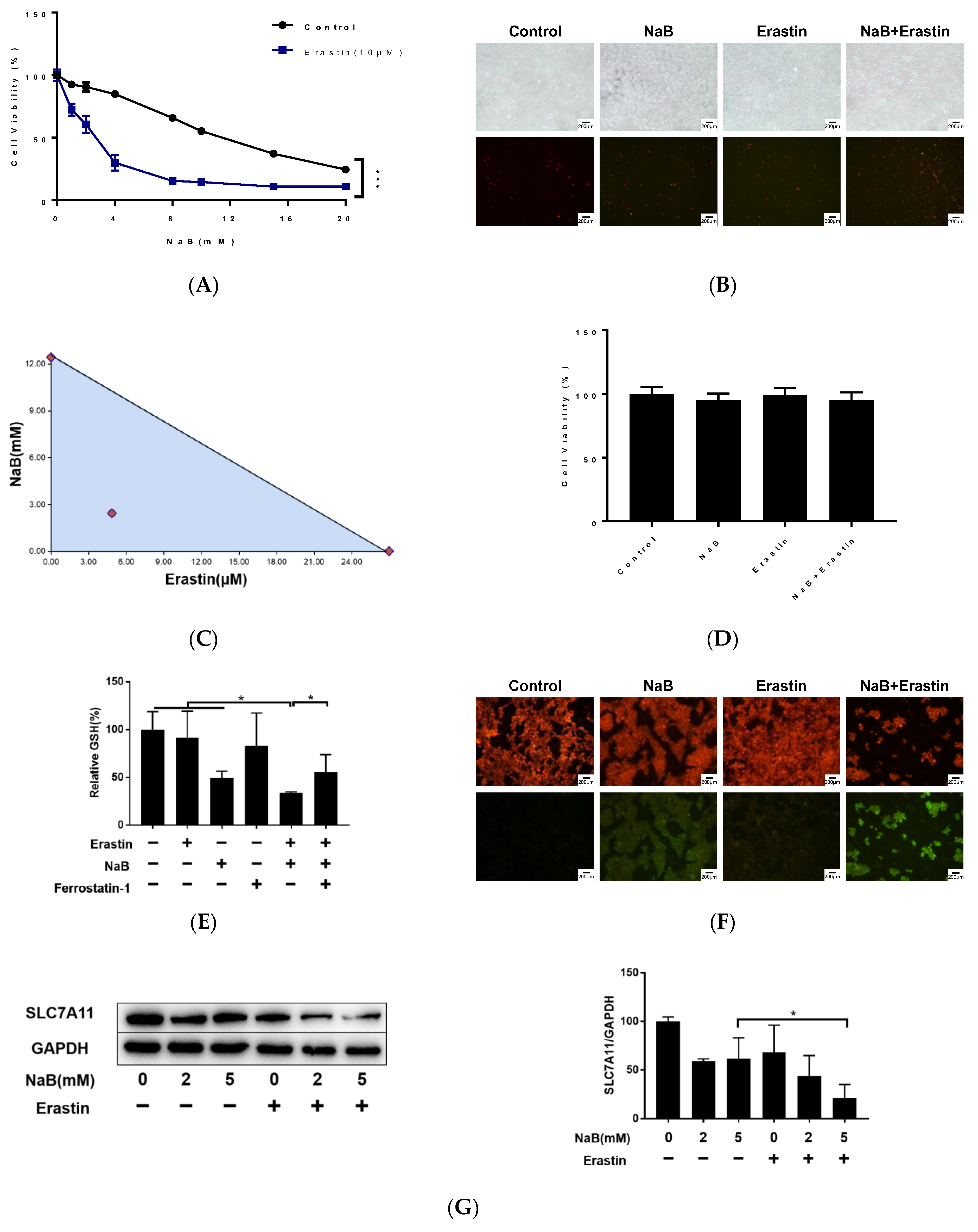 Cancers 15 00423 g006 Cancers 15 00423 g006