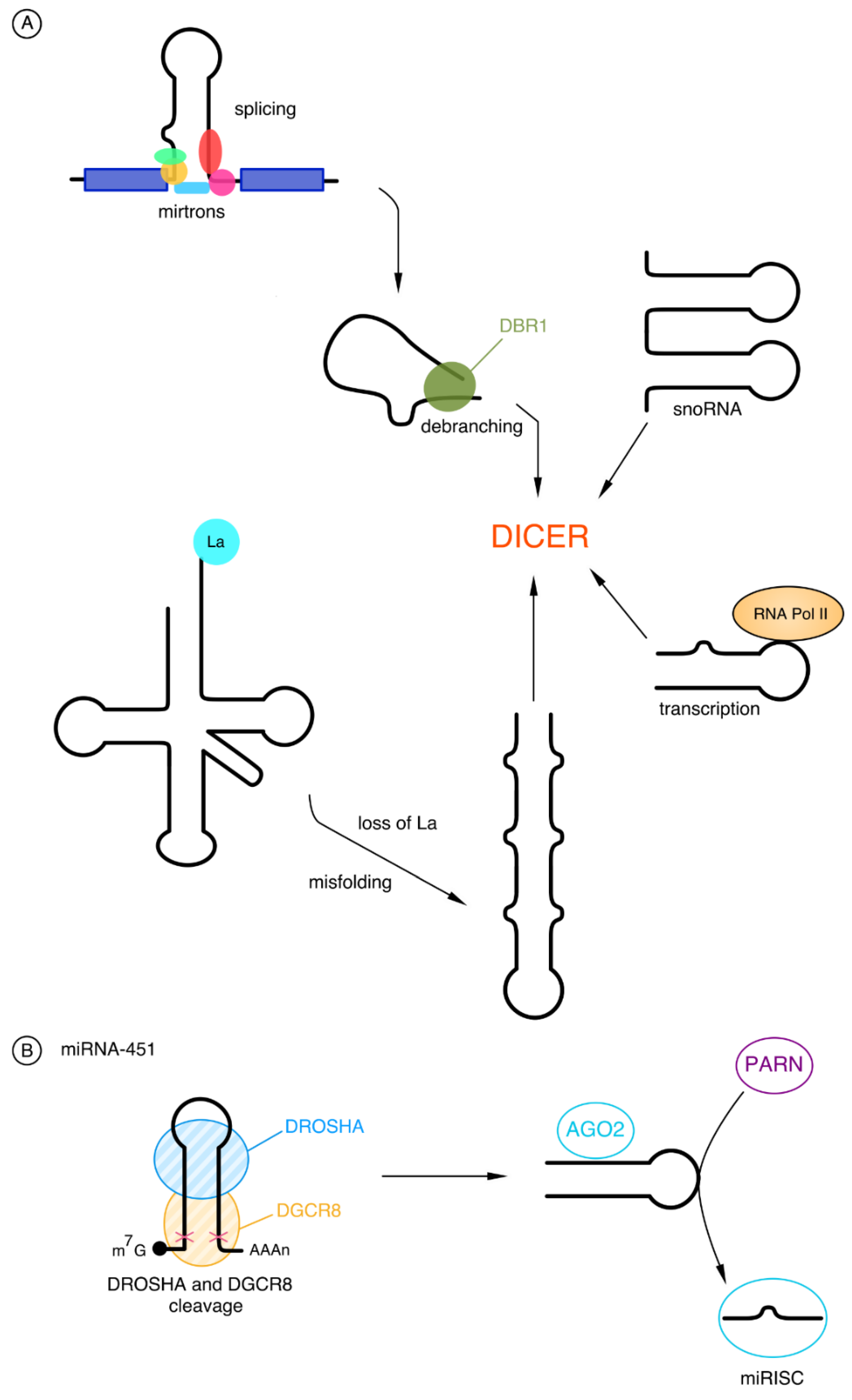 Cancers 15 00428 g002