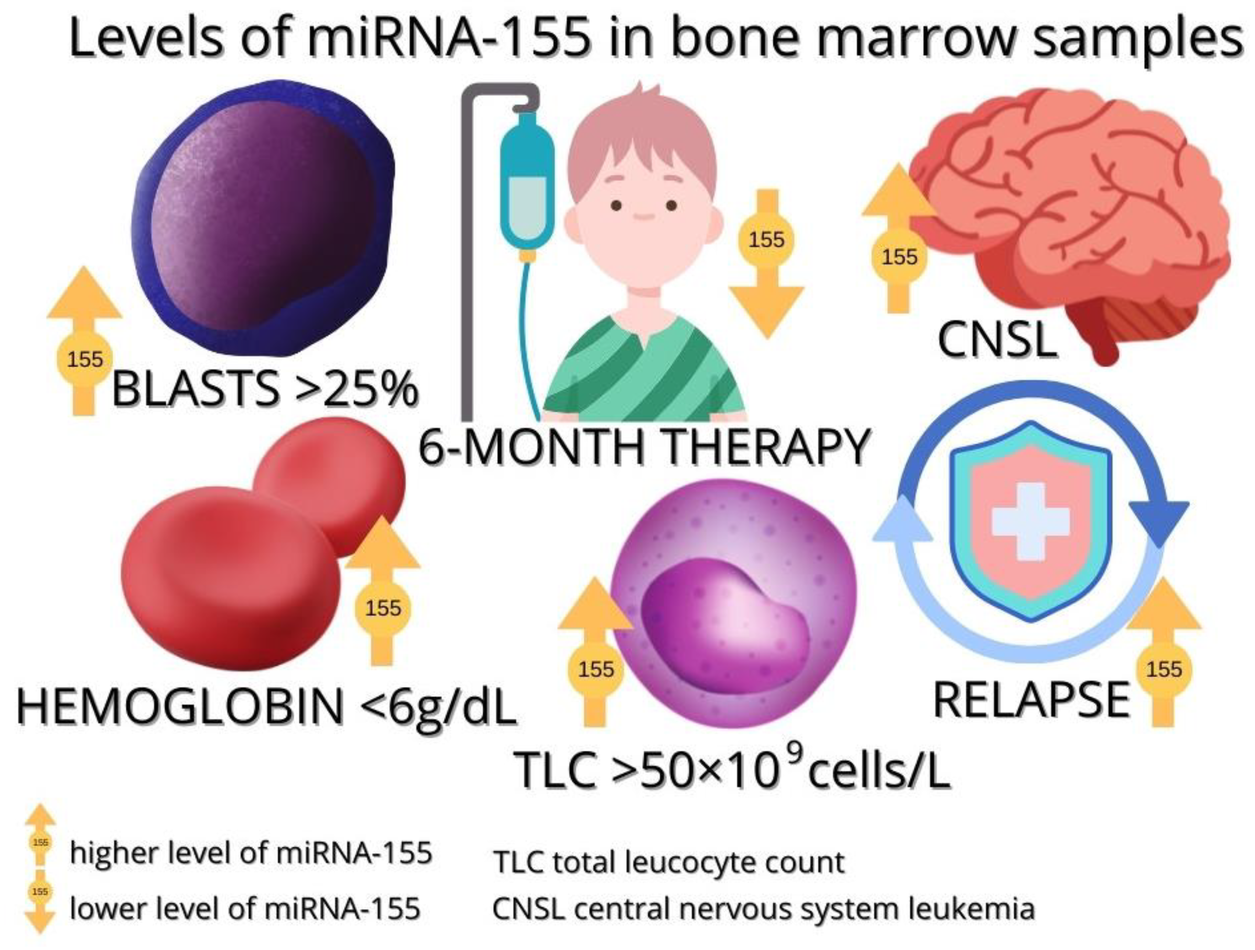 Cancers 15 00428 g003