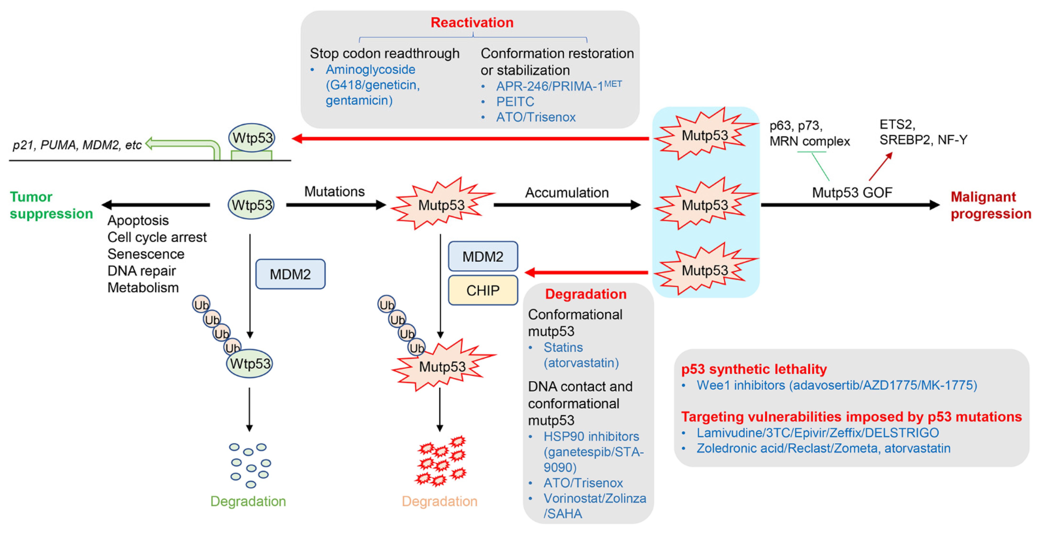 Cancers 15 00429 g001 Cancers 15 00429 g001