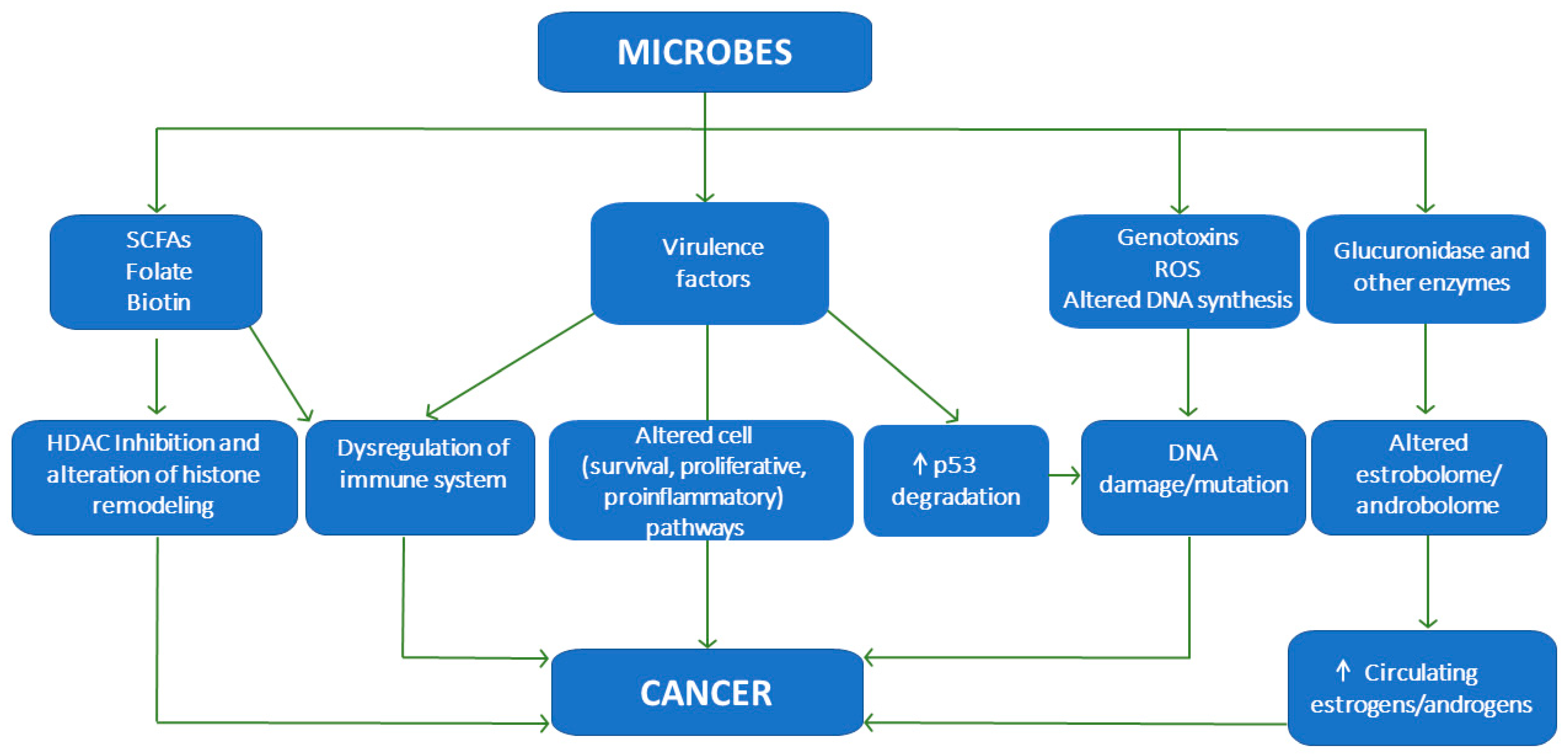 Cancers 15 00443 g001 Cancers 15 00443 g001