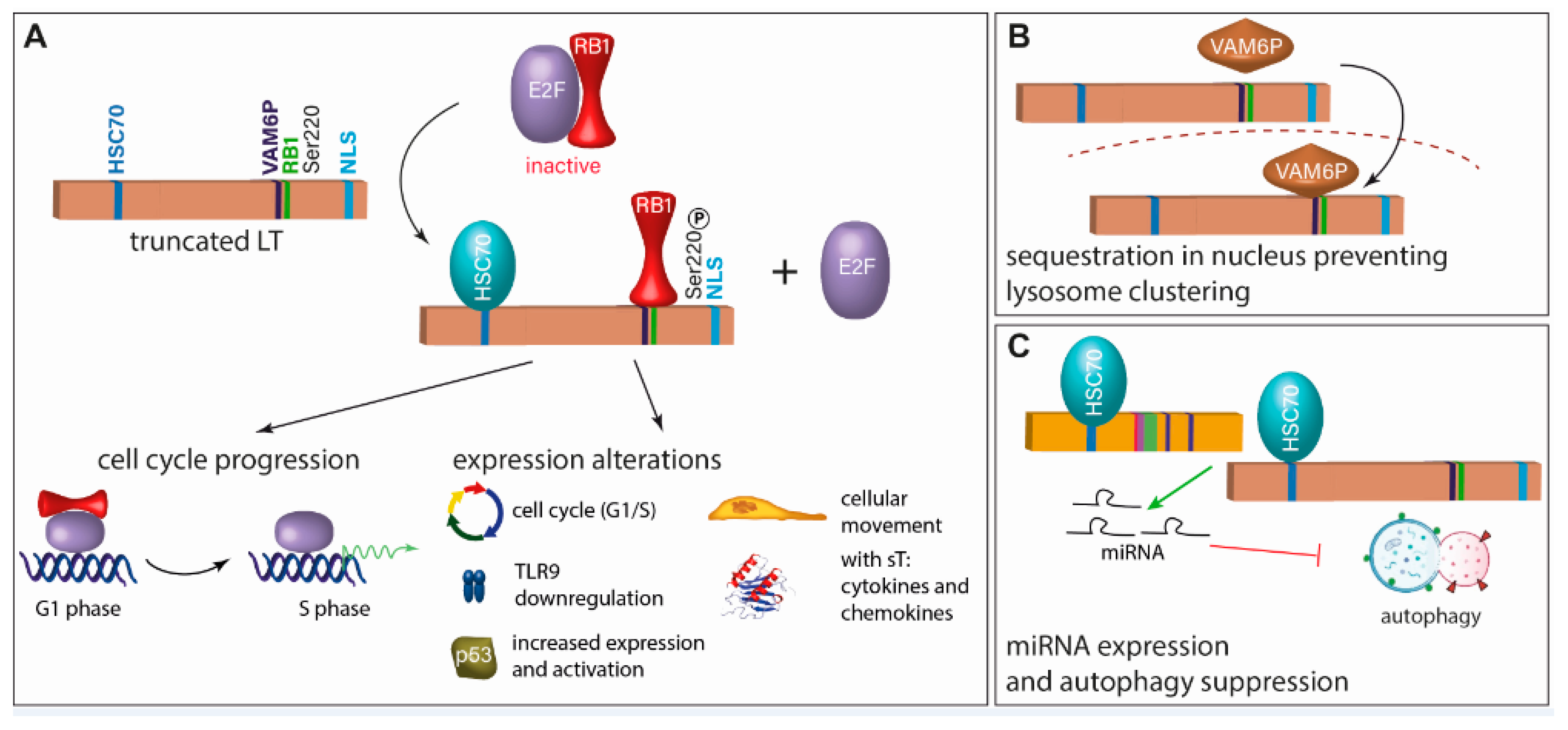 Cancers 15 00444 g003 Cancers 15 00444 g003