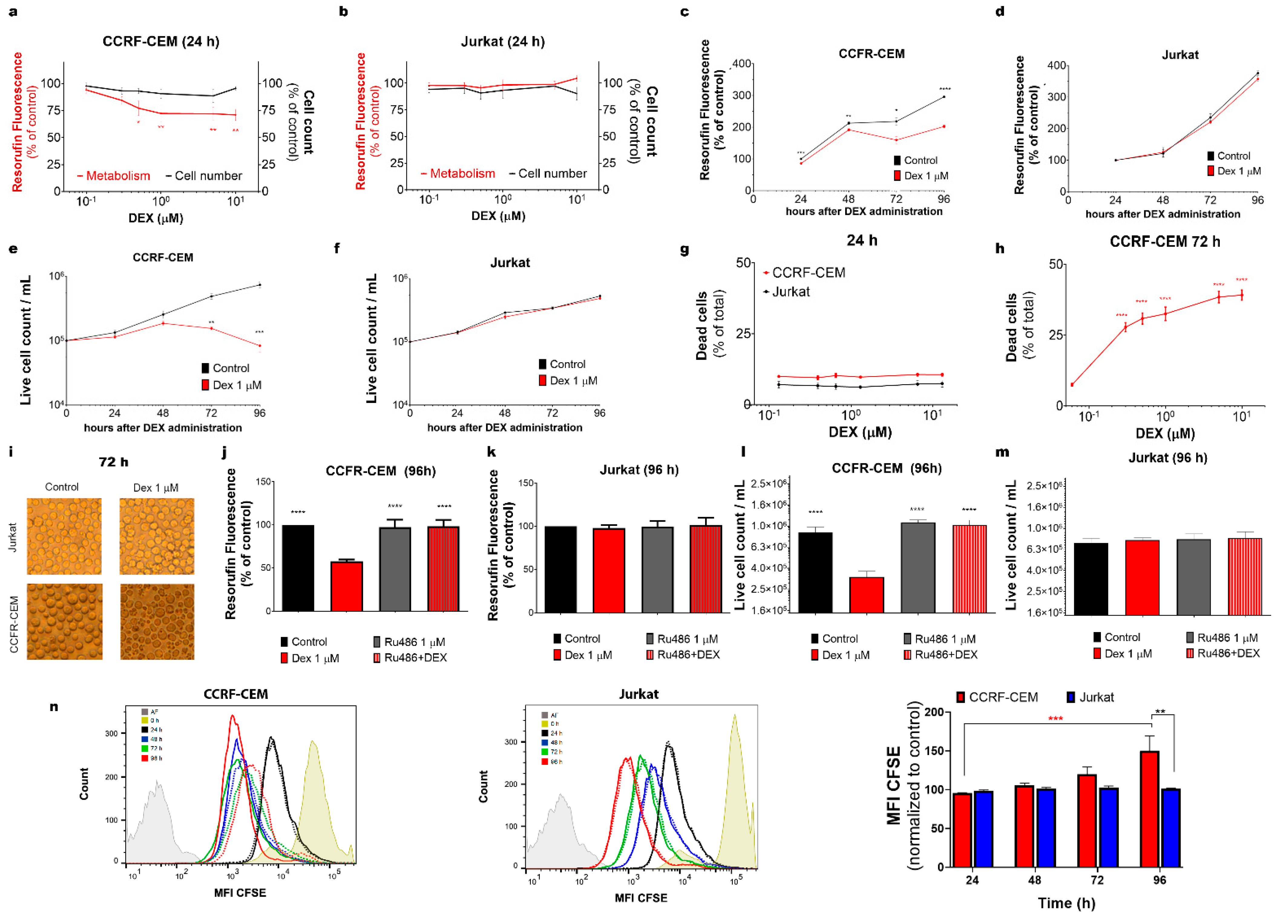 Cancers 15 00445 g001 Cancers 15 00445 g001
