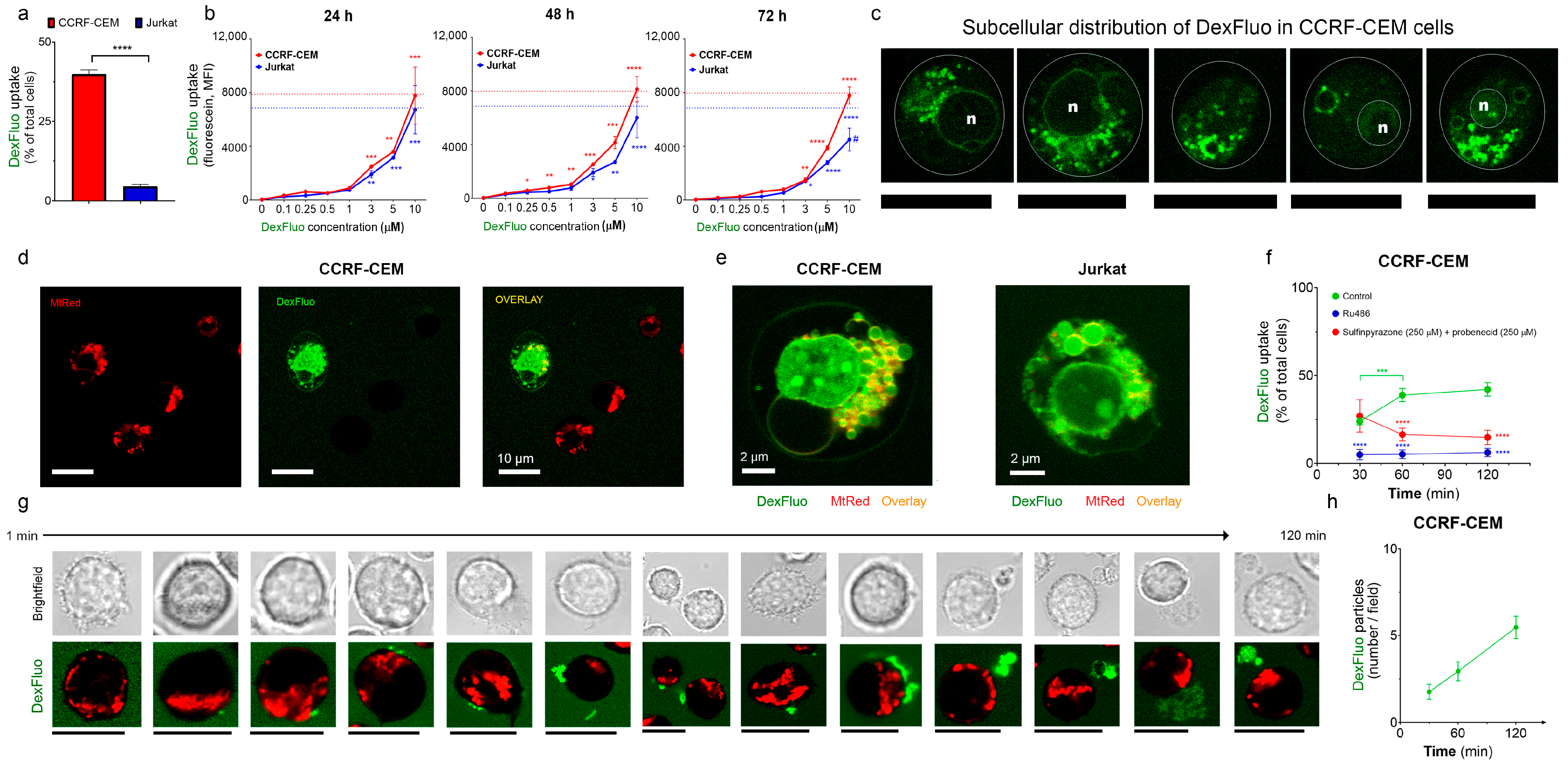 Cancers 15 00445 g002 Cancers 15 00445 g002