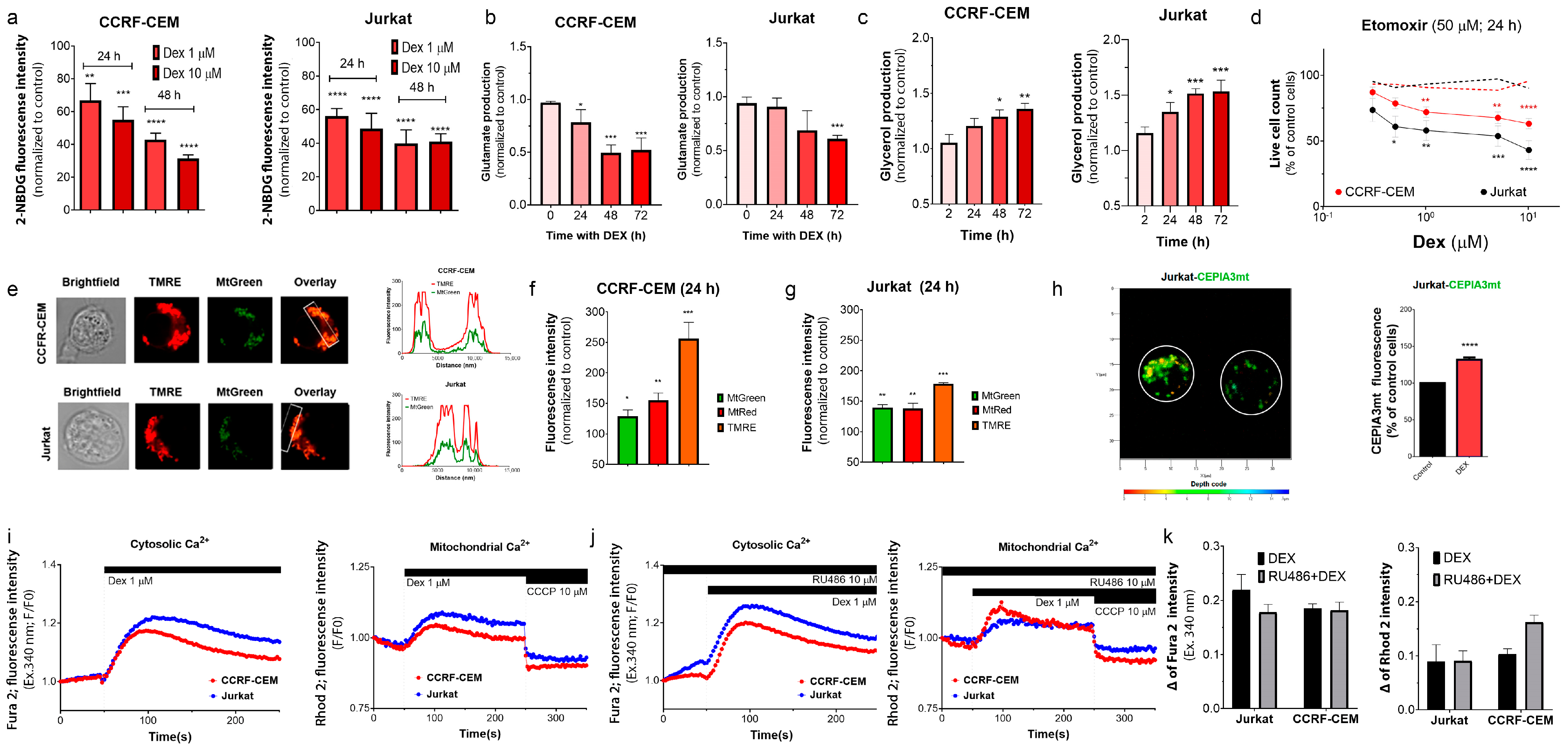 Cancers 15 00445 g003 Cancers 15 00445 g003
