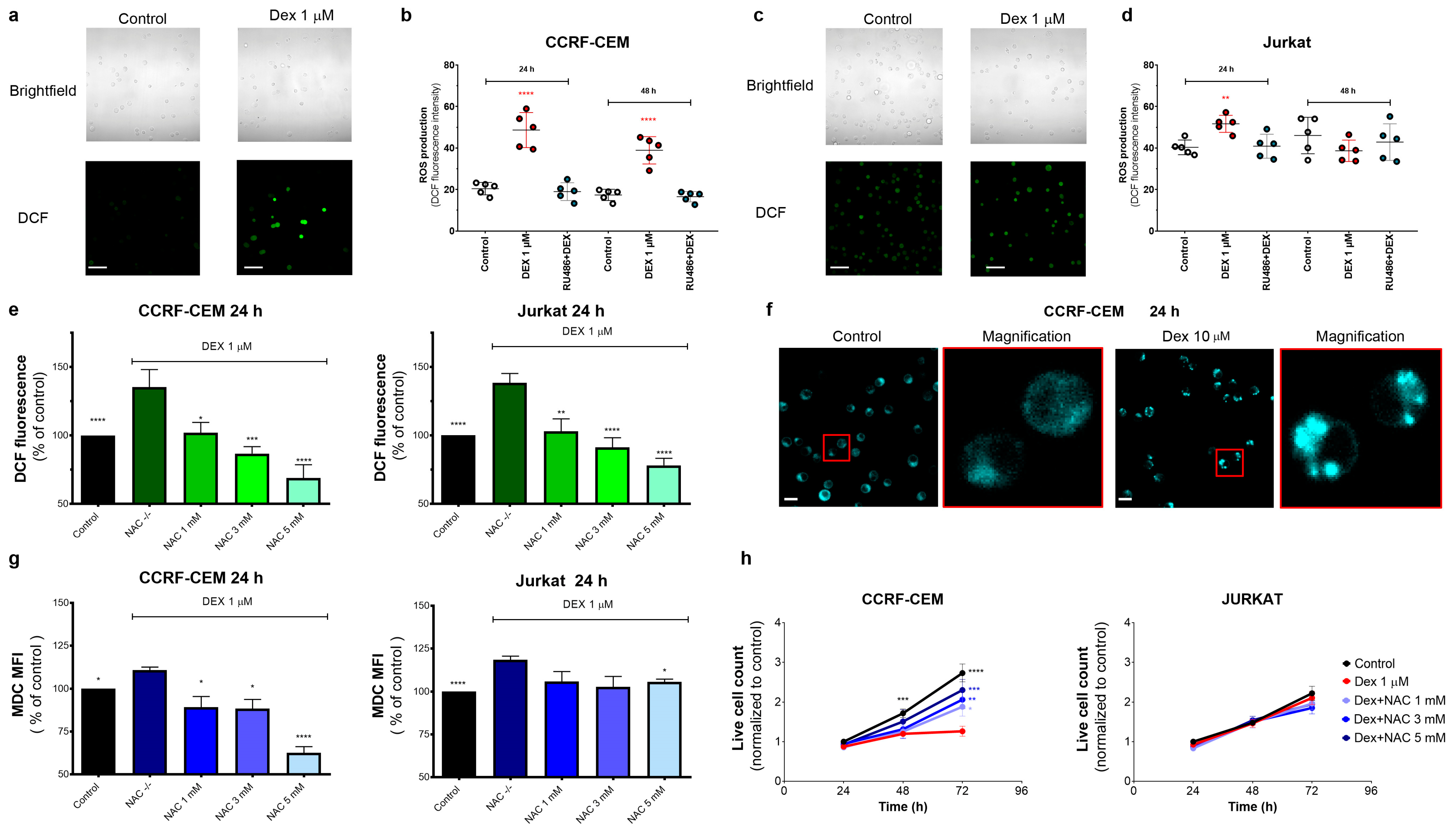 Cancers 15 00445 g004 Cancers 15 00445 g004