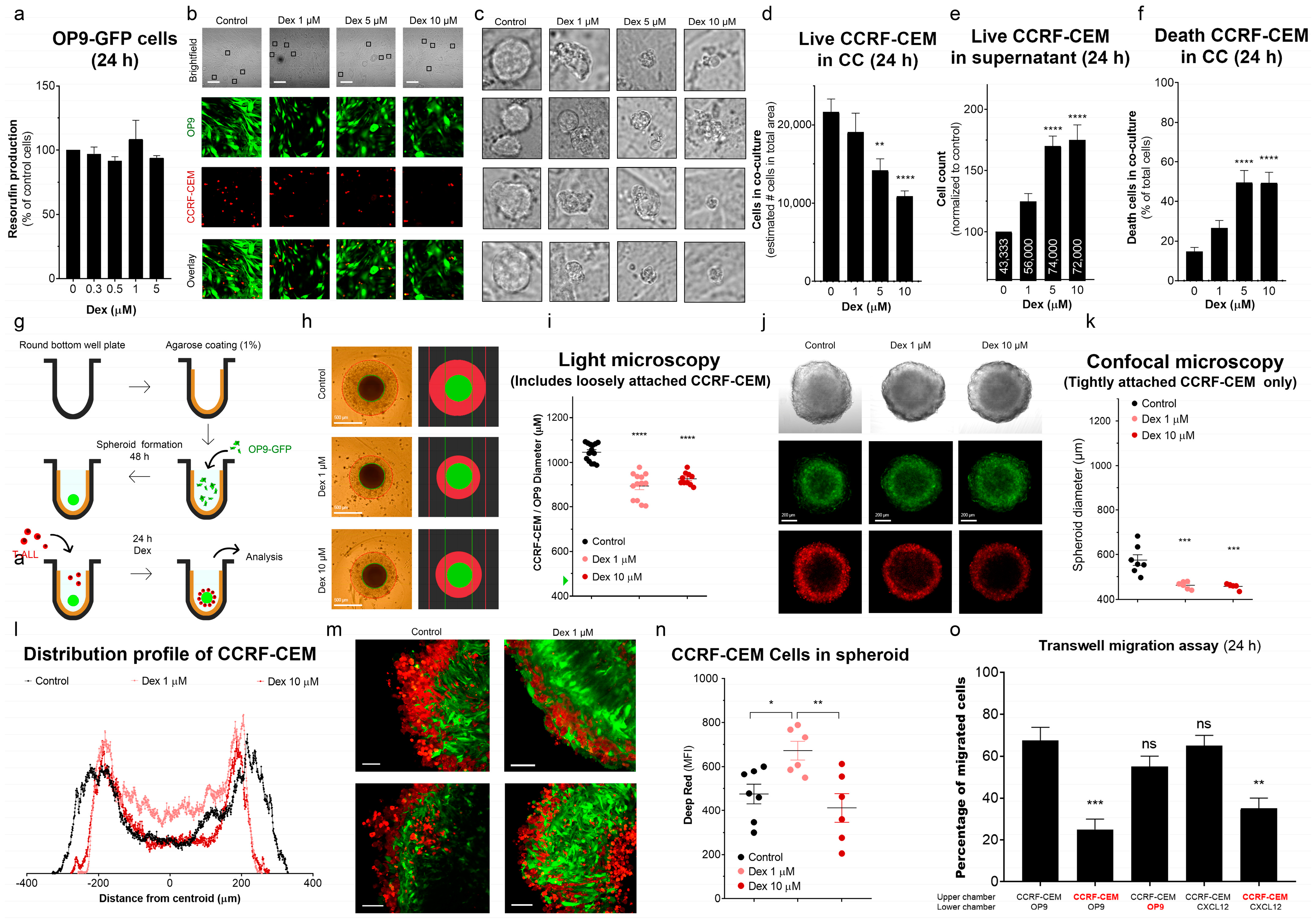 Cancers 15 00445 g006 Cancers 15 00445 g006