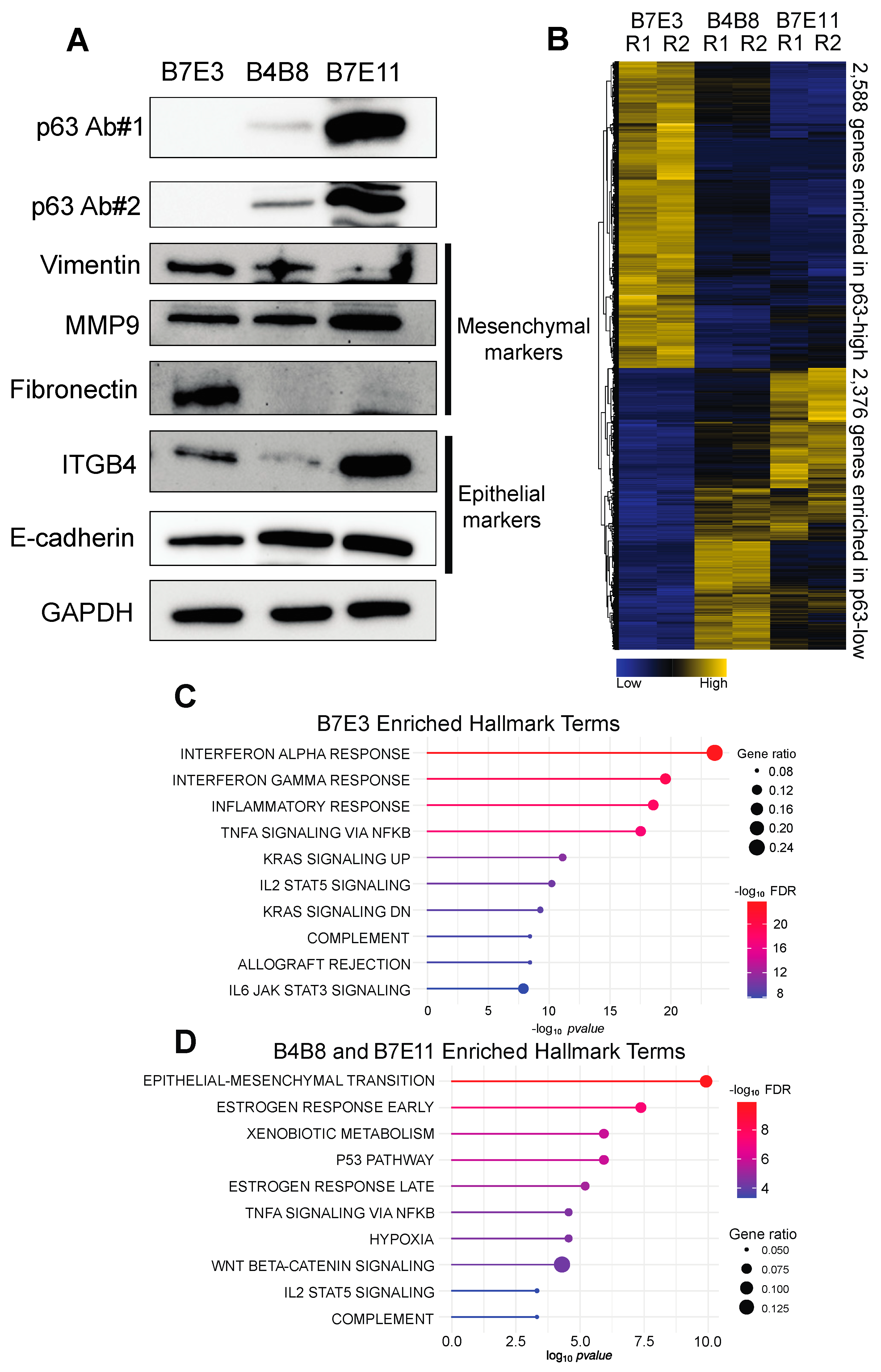 Cancers 15 00446 g001 Cancers 15 00446 g001